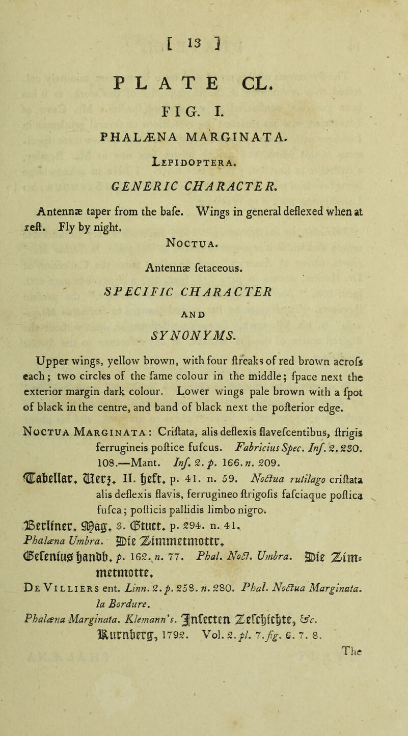 PLATE CL. FIG. I. PHAL^NA MARGINATA. Lepidoptera. GENERIC CHARACTER. Antennas taper from the bafe. Wings in general deflexed when at reft. Ply by night. Noctua. Antennae fetaceous. SPECIFIC CHARACTER AND SYNONYMS. Upper wings, yellow brown, with four ftreaksof red brown acrofs each; two circles of the fame colour in the middle; fpace next the exterior margin dark colour. Lower wings pale brown with a fpot of black in the centre, and band of black next the pofterior edge. Noctua Marginata; Criftata, alis deflexis flavefcentibus, ftrigis ferrugineis poftice fufcus. FabriciusSpec. Inf. 2.230. 108.—Mant. Inf.2.p. 166. n. 209. II. Ijeft. p. 41. n. 59. Nodtua rutilago criftata alis deflexis flavis, ferrugineo flrigofis fafciaque poflica fufca; pofticis pallidis limbo nigro. ■JSertfncr. 3. d!5tuct. p. 294. n. 41. Pbalana Umbra. 2Die Z'l'mmCtmOttr. tif5efSUUt0 P- 162. n. 77. Phal. Nodi. Umbra. JJ)\Z mctmotte. De VILLIERS ent. Linn. 2.p. 258. n. 280. Phal. Nodlua Marginata. la Bordure. Phalcena Marginata. Klemann’s. 3InFcCtCTl £sV. ISlurntierg, 1792. Voi. 2.pi. 7.fig. 6.7.8. The