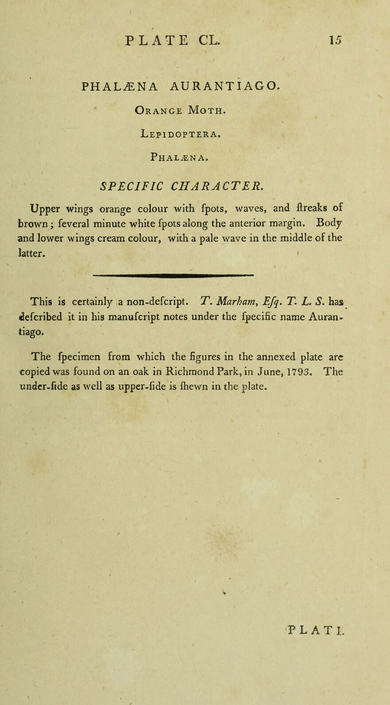 PHAL£NA AURA NT I AGO. Orange Moth. Lepidoptera, Ph ALjEN a. SPECIFIC CHARACTER. Upper wings orange colour with fpots, waves, and ftreaks of brown ; feveral minute white fpots along the anterior margin. Body and lower wings cream colour, with a pale wave in the middle of the latter. > This is certainly a non-defcript. T. Mariam, EJq. T. L. S. has defcribed it in his manufcript notes under the fpecific name Auran- tiago. The fpecimen from which the figures in the annexed plate are copied was found on an oak in Richmond Park, in June, 1793. The under-fide as well as upper-fide is fhewn in the plate. PLATL