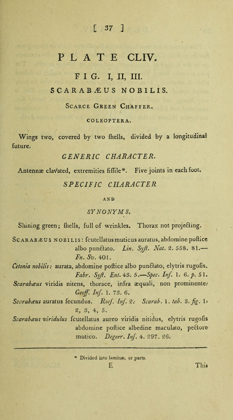 PLATE CLIVe FIG. I, II, III. SCARAB .E US NOBILIS. Scarce Green Chaffer, COLEOPTERA. Wings two, covered by two fhells, divided by a longitudinal future. GENERIC CHARACTER. Antennae claVated, extremities fiffile*. Five joints in each foot, SPECIFIC CHARACTER AND SYNONYMS. Shining green; fhells, full of wrinkles. Thorax not proje&ing. ScaraBjEUS nobilis: fcutellatusmuticusauratus,abdomine poftice albo punftato. Lin. Syfi. Nat. 2. 558. 81.— Fn. Sv. 401. Cetonia nobilis: aurata, abdomine poftice albo punftato, elytris rugofis. Fabr. Syfi. Ent.^3; 5.—Spec. Inf. 1. 6. p. 51. Scarabceus viridis nitens, thorace, infra aequali, non prominente.- Geoff. Inf. 1. 73. 6. Scarabceus auratus fecundus. Roef. Inf. 2: Scarab. 1. tab. 3. fig. 1» 2, 3, 4, 5. Scarabceus viridulus fcutellatus aureo viridis nitidus, elytris rugofis abdomine poftice albedine maculato, pe£lore- mutico. Degeer. Inf. 4. 297. 26. * Divided info lamin®, or parts. E This