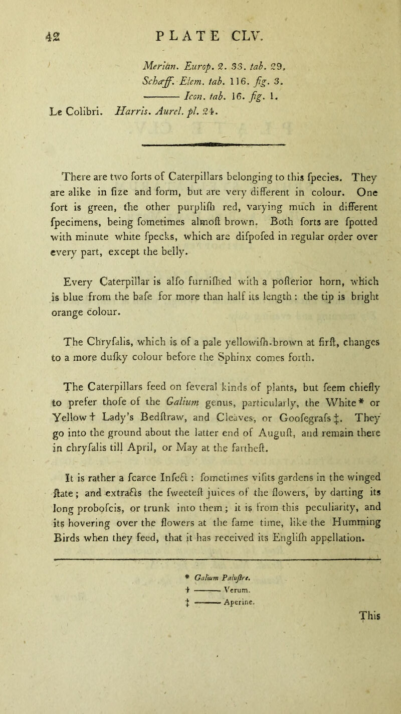 Merian. Eurap. 2. 33. tab. 29, Schccff. Elem. tab. 116. fig. 3. -Icon. tab. 16. fig. 1. Le Colibri. Harris. Aurel. pi. 24. There are two forts of Caterpillars belonging to this fpecies. They are alike in fize and form, but are very different in colour. One fort is green, the other purplifb red, varying much in different fpecimens, being fometimes almoft brown. Both forts are fpotted with minute white fpecks, which are difpofed in regular order over every part, except the belly. Every Caterpillar is alfo furnifhed with a poflerior horn, which is blue from the bafe for more than half its length : the tip is bright orange colour. The Chryfalis, which is of a pale yellowifh-brown at firft, changes to a more dufky colour before the Sphinx comes forth. The Caterpillars feed on feveral kinds of plants, but feem chiefly to prefer thofe of the Galium genus, particularly, the White* or Yellow t Lady’s Bedftraw, and Cleaves, or Goofegrafs They go into the ground about the latter end of Auguft, and remain there in chryfalis till April, or May at the fartbeft. It is rather a fcarce Infeft : fometimes viflts gardens in the winged flate ; and extracts the fweetefl juices of the flowers, by darting its long probofcis, or trunk into them ; it is from this peculiarity, and its hovering over the flowers at the fame time, like the Humming Birds when they feed, that it has received its Englifh appellation. * Galium Palujtre. + -Verum. J -■ — Aperine. This