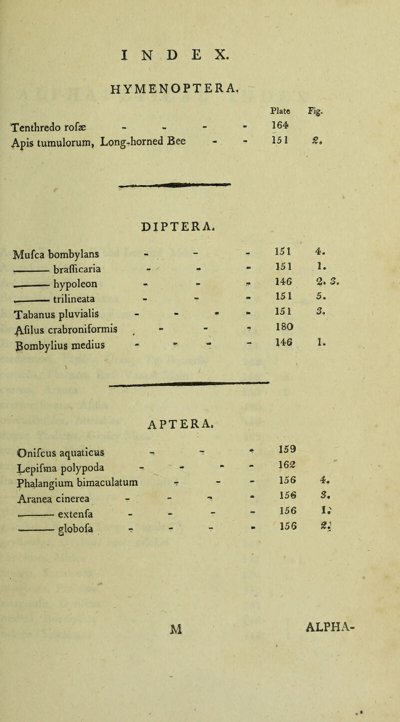 HYMENOPTERA. Tenthredo rofae Apis tumulorum, Long-horned Bee Plate Fig. 164 151 ft. DIPTERA. Mufca bombylans --braflicaria .——- hypoleon _trilineata Tabanus pluvialis Ahlus crabroniformis Bombylius medius - 151 4. 151 1. 146 2. 3. 151 5. 151 3. 180 146 1. aptera. Onifcus aquaticus -s ~ . 159 Lepifrna polypoda - 162 Phalangium bimaculatum ? 156 4f Aranea cinerea - - 156 3. --extenfa - 156 li --globofa - 156 2}