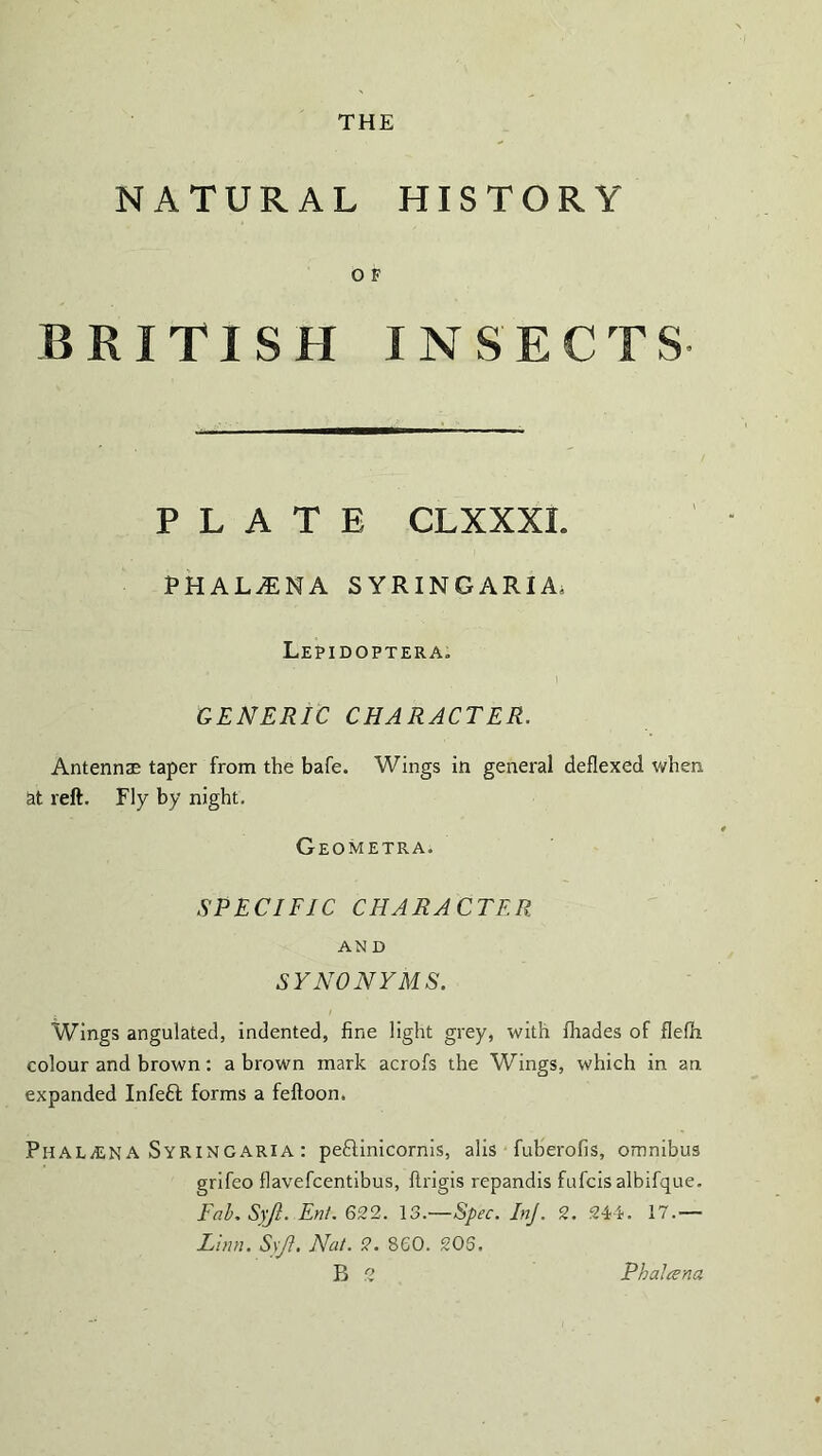 NATURAL HISTORY O F BRITISH INSECTS PLATE CLXXXI. PHALiENA SYRINGARIA. Lepidoptera. GENERIC CHARACTER. Antennae taper from the bafe. Wings in general deflexed when at reft. Fly by night. Geometra. SPECIFIC CHARACTER AN D SYNONYMS. Wings angulated, indented, fine light grey, with fhades of flefh colour and brown: a brown mark acrofs the Wings, which in an expanded Infeft forms a feftoon. PnALiEN A Syringaria : peftinicornis, alis fuberofis, omnibus grifeo flavefcentibus, firigis repandis fufcis albifque. Fab. S)jl. Ent. 622. \3.-—Spec. InJ. 2. 244. 17.— Linn. Syji. Nat. 2. 860. 205. B 2 Phalcena