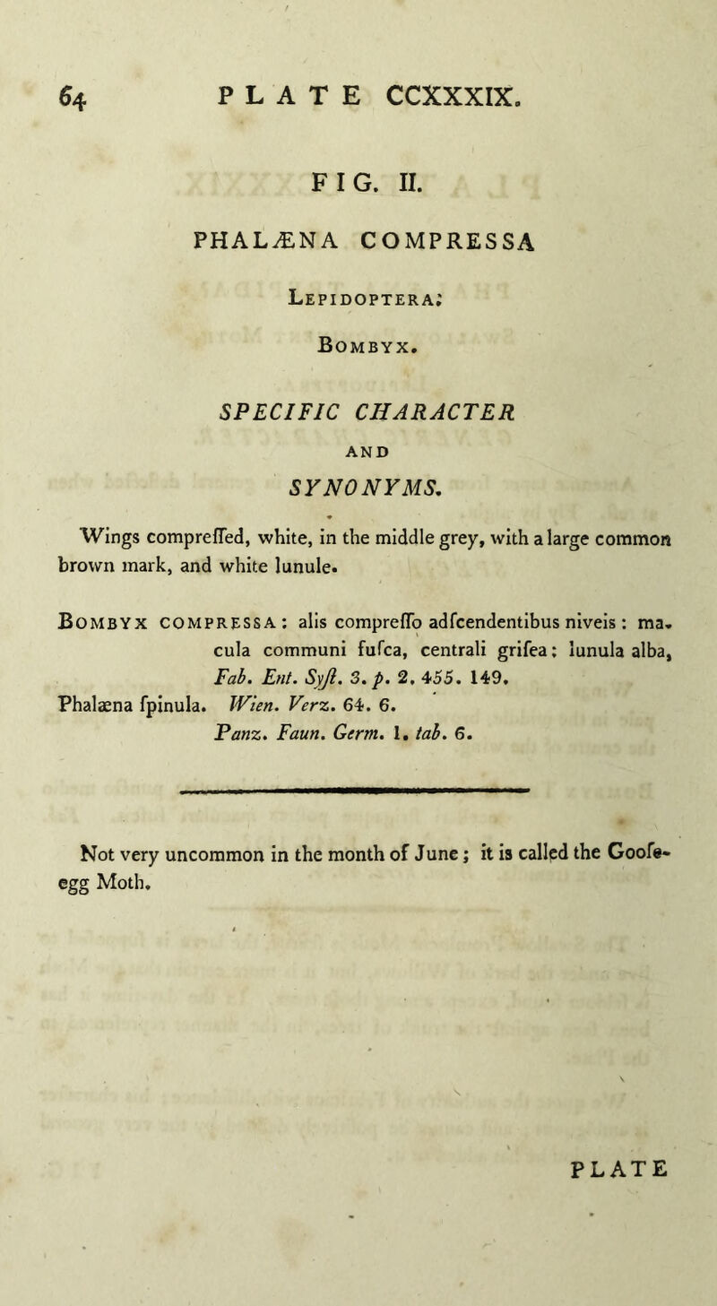 $4 PLATE CCXXXIX. FIG. II. PHAL^NA COMPRESSA Lepidoptera; Bombyx. SPECIFIC CHARACTER AND SYNONYMS. Wings comprefTed, white, in the middle grey, with a large common brown mark, and white lunule. Bombyx compressa: alis comprefTo adfcendentibus niveis: ma. cula communi fufca, centrali grifea; lunula alba, Fab. Ent. Syji. 3. p. 2, 455. 149. Phalaena fpinula. Wien. Verz. 64. 6. Panz. Faun. Germ. 1. tab. 6. Not very uncommon in the month of June; it is called the Goofe- egg Moth.