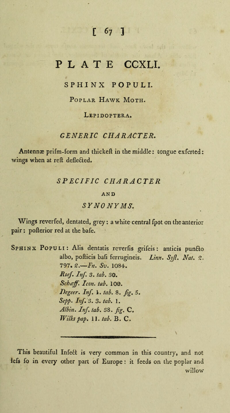 PLATE CCXLI. SPHINX POPULI. Poplar Hawk Moth. Lepidoptera. GENERIC CHARACTER. Antennae prifm-form and thickeft in the middle: tongue exferted: wings when at reft deflected. SPECIFIC CHARACTER AND SYNONYMS. Wings reverfed, dentated, grey: a white central fpot on the anterior pair: pofterior red at the bafe. Sphinx Populi: Alis dentatis reverfis grifeis: anticis punfto albo, pofticis baft ferrugineis. Linn. Syji. Nat. 2. 797. 2.—Fn. Sv. 1084. Roef. Inf. 3. tab. 30. Schceffi. Icon. tab. 100. Hegeer. Inf. 1. tab. 8. fg. 5. Sepp. Inf. 3. 3. tab. 1. Albin. Inf. tab. 38. fig. C. Wilks pap. 11. tab. B. C. \ This beautiful Infe£t is very common in this country, and not lefs fo in every other part of Europe: it feeds on the poplar and willow