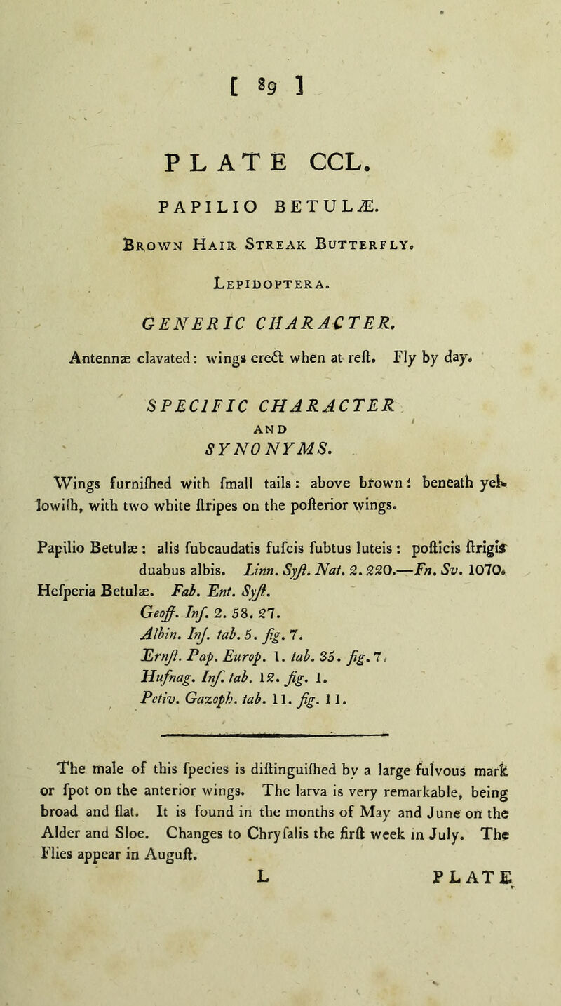 [ 89 ] PLATE CCL. PAPILIO BETULjE. Brown Hair Streak Butterfly. Lepidoptera. GENERIC CHARACTER. Antennae clavated: wings eredt when at reft. Fly by day. SPECIFIC CHARACTER AND SYNONYMS. Wings furnifhed with fmall tails: above brown 1 beneath yeL lowilh, with two white ftripes on the pofterior wings. Papilio Betulae : alia fubcaudatis fufcis fubtus luteis : pofticis ftrigil duabus albis. Linn. Syji. Nat. 2. 220.—Fn. Sv. 1070. Hefperia Betulae. Fab. Ent. Syji. Geoff. Inf. 2. 58. 21. Albin. InJ. tab. 5. fig. 7. Ernfi. Pap. Europ. 1. tab. 35. fig. 7. Hufinag. Inf. tab. \2. fig. 1. Petiv. Gazoph. tab. 11. fig. 11. The male of this fpecies is diftinguiflied bv a large fulvous mark or fpot on the anterior wings. The larva is very remarkable, being broad and flat. It is found in the months of May and June on the Alder and Sloe. Changes to Chryfalis the firft week in July. The Flies appear in Auguft.