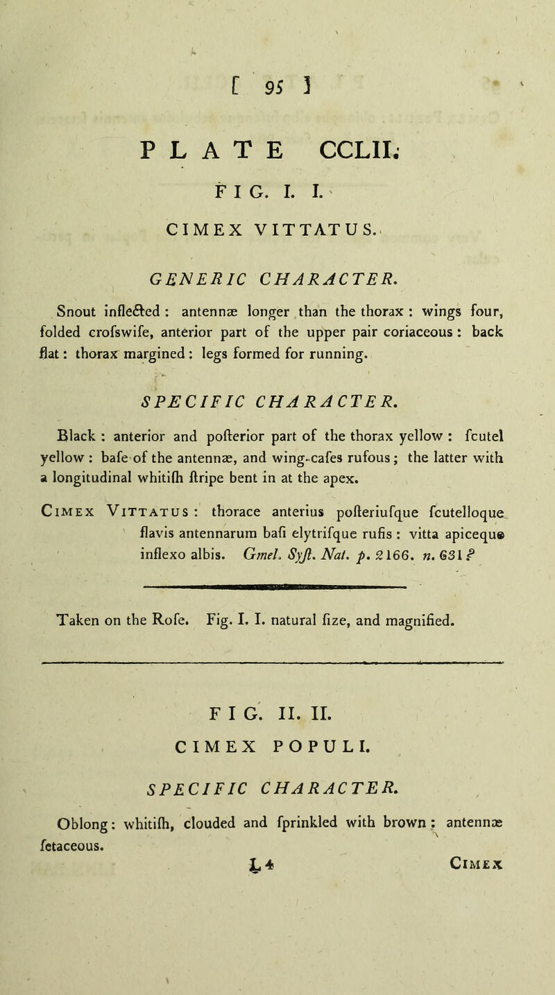 PLATE CCLII. F I G. I. I. CIMEX VITTATUS. GENERIC CHARACTER. Snout infle&ed : antennae longer than the thorax : wings four, folded crofswife, anterior part of the upper pair coriaceous : back flat: thorax margined : legs formed for running. SPECIFIC CHARACTER. Black : anterior and pofterior part of the thorax yellow : fcutel yellow : bafe of the antennae, and wing-cafes rufous; the latter with a longitudinal whitifh flripe bent in at the apex. Cimex Vittatus: thorace anterius pofteriufque fcutelloque flavis antennarum bafi elytrifque rufis : vitta apicequ* inflexo albis. Gmel, Syjl. Nat. p. 2166. n. 63 If Taken on the Rofe. Fig. I. I. natural fize, and magnified. F I G. II. II. CIMEX POPULI. SPECIFIC CHARACTER. Oblong: whitilh, clouded and fprinkled with brown : antennas fetaceous. h* \ Cimex