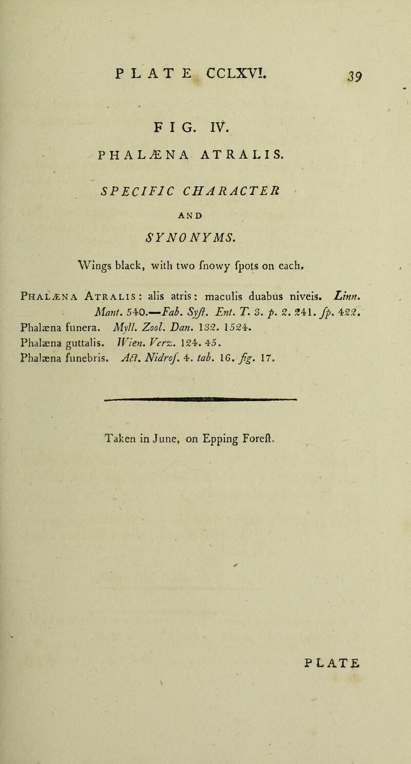 F I G. IV. phalaina atralis. SPECIFIC CHARACTER AND SYNONYMS. Wings black, with two fnowy fpots on each. Phal£NA Atralis: alis atris: maculis duabus niveis. Linn. Mant. 540.—Fab. Syji. Ent. T. 3. p. 2. 241. fp. 422. Phalacna funera. Myll. Zool. Dan. 132. 1524. Phalacna guttalis. Wien. Verz. 124.45. Phalacna funebris. Act. NidroJ. 4. tab. 16. fig. 17. Taken in June, on Epping Foreft. PLATE