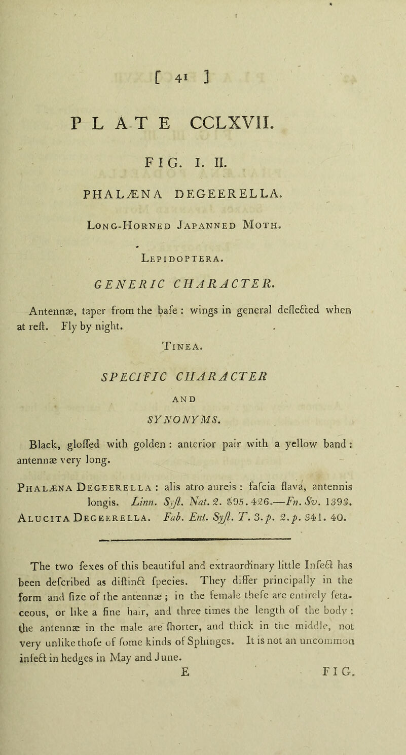 PLATE CCLXV1I. FIG. I. II. PHAL^NA DEGEERELLA. Long-Horned Japanned Moth. Lepidoptera. GENERIC CHARACTER. Antennae, taper from the bafe : wings in general deflected when at reft. Fly by night. Tinea. SPECIFIC CHARACTER AN D SYNONYMS. Black, gloffed with golden : anterior pair with a yellow band : antennae very long. PhaljENA Degeerella : alis atro aureis : fafcia flava, antennis longis. Linn. S,Ji. Nat. 2. 895.426.—Fn.Sv. 1393. Alucita Degeerella. Fab. Ent. Syjt. T. 3.p. 2.p. 341. 40. The two fexes of this beautiful and extraordinary little Infeft has been defcribed as diftinft fpecies. They differ principally in the form and ftze of the antennae ; in the female tbefe are entirely feta- ceous, or like a fine hair, and three times the length of the body : the antennae in the male are fhorter, and thick in the middle, not very unlike thofe of fume kinds o! Sphinges. It is not an uncommon infebt in hedges in May and J une. FIG.