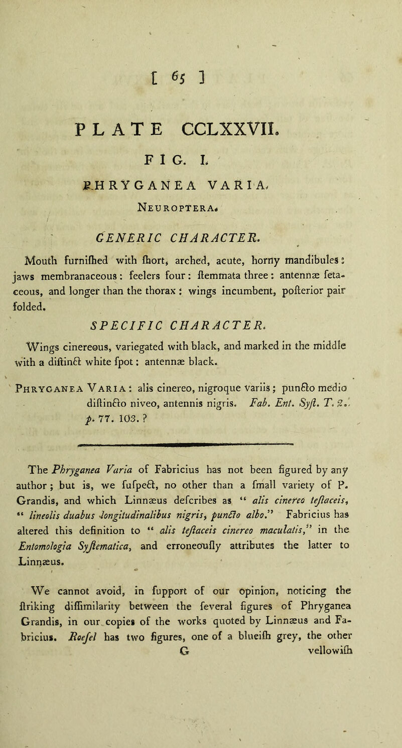 PLATE CCLXXVIL FIG. L P.HRYGANEA VARIA, Neuroptera* I ~ GENERIC CHARACTER. Mouth furnilhed with Abort* arched, acute, horny mandibules; jaws membranaceous : feelers four : ftemmata three : antennas feta- ceous, and longer than the thorax : wings incumbent, pofterior pair folded. SPECIFIC CHARACTER. Wings cinereous, variegated with black, and marked in the middle with a diftinft white fpot: antennas black. Phryganea Varia : alls cinereo, nigroque variis; punfto medio diftinfto niveo, antennis nigris. Fab. Ent. Syji. T. p. 77. 103. ? The Phryganea Varia of Fabricius has not been figured by any author ; but is, we fufpeft, no other than a fmall variety of P. Grandis, and which Linnaeus defcribes as “ alls cinereo tejlaceis, “ lineolis duabus Jongitudinalibus nigris, punffo alboP Fabricius has altered this definition to “ alis tejiaceis cinereo macula/is,” in the Entomologia Syjlematica, and erroneoufly attributes the latter to Linnasus. We cannot avoid, in fupport of our opinion, noticing the ilriking diffimilarity between the feveral figures of Phryganea Grandis, in our copies of the works quoted by Linnasus and Fa¬ bricius. Roefel has two figures, one of a blueifh grey, the other G vellowilh