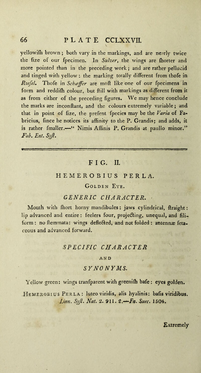 yellowifh brown ; both vary in the markings, and are nearly twice the fize of our fpecimen. In Sulzer, the wings are fhorter and more pointed than in the preceding work; and are rather pellucid and tinged with yellow : the marking totally different from thofe in Roefel. Thofe in Schaffer are moll like one of our fpecimens in form and reddifh colour, but hill with markings as different from it as from either of the preceding figures. We may hence conclude the marks are inconftant, and the colours extremely variable; and that in point of fize, the prefent fpecies may be the Varia of Fa- bricius, fince he notices its affinity to the P. Grandis; and adds, it is rather fmaller.—“ Nimis Affinis P. Grandis at paullo minor.” Fab. Ent. Syjl. F I G. II. HEMEROBIUS PERL A. Golden Eye. GENERIC CHARACTER. Mouth with fhort horny mandibules: jaws cylindrical, ftraight: lip advanced and entire: feelers four, projecting, unequal, and fili¬ form: noftemmata: wings defle£led, and not folded : antennae feta- ceous and advanced forward. SPECIFIC CHARACTER AND 5 YNO N YMS. Yellow green: wings tranfparent with greenifh bafe: eyes golden. Hemerobius Perla: luteo viridis, alis hyalinis: bafis viridibus. Linn. Syjl. Nat. 2. 911. Z.-^-En. Suec. 1504. Extremely