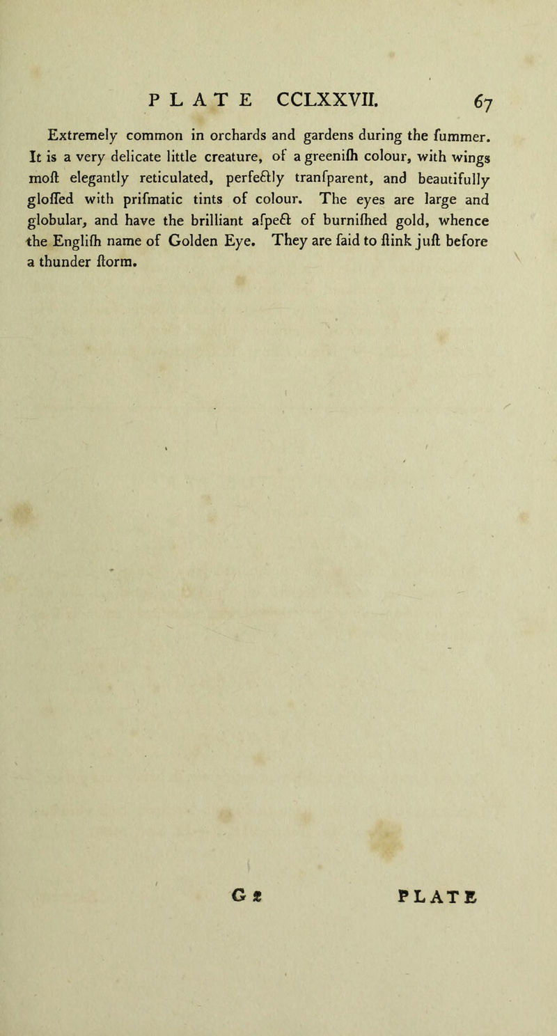 Extremely common in orchards and gardens during the fummer. It is a very delicate little creature, of a greenifli colour, with wings moll elegantly reticulated, perfectly tranfparent, and beautifully gloffed with prifmatic tints of colour. The eyes are large and globular, and have the brilliant afpeft of burnifhed gold, whence the Englifh name of Golden Eye. They are faid to ftink juft before a thunder ftorm. G* PLATE