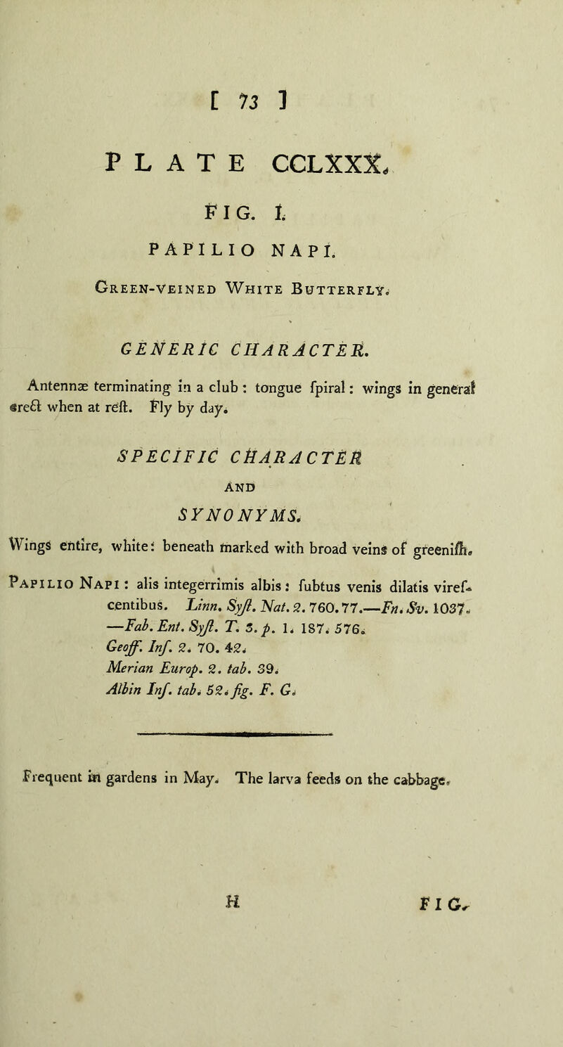 PLATE CCLXXX. FIG. 1. PAPILIO NAP I. Green-veined White Butterfly. GENERIC CHARACTER. Antennae terminating in a club : tongue fpiral: wings in general «re£t when at reft. Fly by day. SPECIFIC CHARACTER AND SYNONYMS. Wings entire, white; beneath marked with broad veins of greenifti, Papilio Napi: alis integerrimis albis: fubtus venis dilatis viref* centibus. Linn. Syjl. Nat. 2. 760.77.—Fn. Sv. 1037- —Fab.Ent.Syfl. T. S.p. 1. 187. 576. Geoff. Inf. 2. 70. 42. Merian Europ. 2. tab. 39. Albin Inf. tab. 52. fig. F. G. .Frequent in gardens in May. The larva feeds on the cabbage. H FIG,