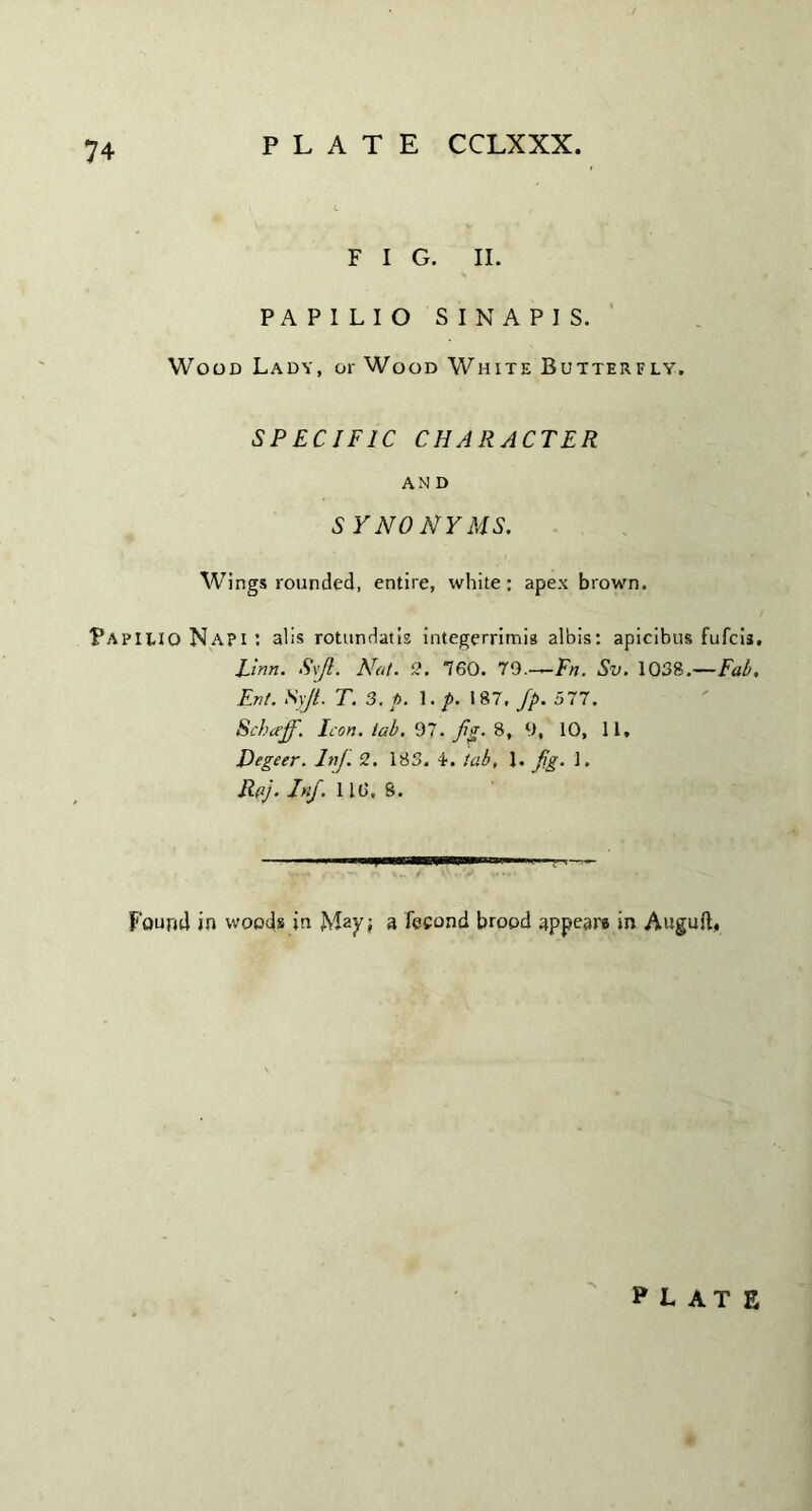 F I G. II. PAPILIO SIN APIS. Wood Lady, or Wood White Butterfly. SPECIFIC CHARACTER AN D 5 Y NO NY MS. Wings rounded, entire, white: apex brown. PapILIO Na?i : alis rotundatis integerrimis albis: apicibus fufcis. Linn. Svfi. Nat. 2. 160. 79—Fn. Sv. 1038.—Fab. Ent. Syjt. T. 3. p. 1. p. 187, Jp. 577. Schaff. Icon, iab, 97. jig. 8, 9, 10, 11. Degeer. Iff. 2. 185. 4. tab, 1. jig. 1. Raj. Iff. 11(3, S. found in woods in May; a fesond brood appear# in Auguft, plate