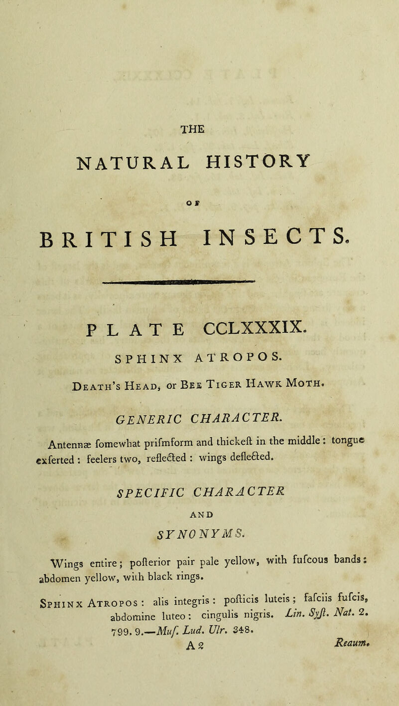 NATURAL HISTORY o jr BRITISH INSECTS. PLATE CCLXXXIX. SPHINX ATROPOS. Death’s Head* or Bee Tiger Hawk Moth. GENERIC CHARACTER. Antenna: fomewhat prifmform and thickeft in the middle: tongue exferted : feelers two, refledted : wings deflected. SPECIFIC CHARACTER AND SYNONYMS. Wings entire; pofterior pair pale yellow, with fufcous bands: abdomen yellow, with black rings. Sphinx Atropos : alis integris: pofticis luteis; fafciis fufcis, abdomine luteo: cingulis nigris. Lin. Syjl. Nat. 2. 799. 9.—Muf. Lud. Ulr. 348. A2 Reaum«