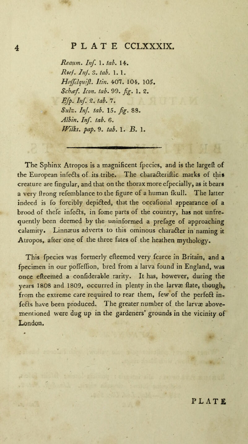 4 PLATE CCLXXXIX. Reaum. Inf. 1. tab. 14. RoeI. Inf. 3. tab. 1.1. Hajflelquift. It'in. 407. 104. 105. Scbaf. Icon. tab. 99. fig. 1. 2. Efip. Inf. 2. tab. 7. Sulz. Inf. tab. 15. fig. 88. Albin. Inf. tab. 6. Wilks, pap. 9. tab. 1. B. 1. The Sphinx Atropos is a magnificent fpecies, and is the largeft of the European infedts of its tribe. The charadteriftic marks of this creature are fingular, and that on the thorax moreefpecially, as it bears a very ftrong refemblance to the figure of a human fkull. The latter indeed is fo forcibly depidted, that the occafional appearance of a brood of thefe infedts, in fome parts of the country, has not unfre- quently been deemed by the uninformed a prefage of approaching calamity. Linnteus adverts to this ominous charadter in naming it Atropos, after one of the three fates of the heathen mythology. This fpecies was formerly efteemed very fcarce in Britain, and a fpecimen in our pofleflion, bred from a larva found in England, was once efteemed a confiderable rarity. It has, however, during the years 1808 and 1809, occurred in plenty in the larvae ftate, though, from the extreme care required to rear them, few of the perfect in¬ fedts have been produced. The greater number of the larvae above- mentioned were dug up in the gardeners’ grounds in the vicinity of London. PLATE