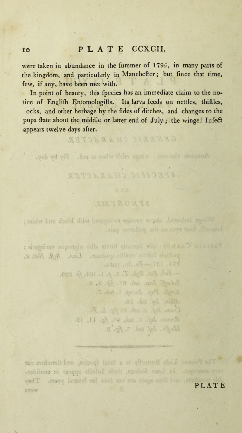 were taken in abundance in the fummer of 1795, in many parts of the kingdom, and particularly in Manchefter; but fince that time, few, if any, have been met with. In point of beauty, this fpecies has an immediate claim to the no¬ tice of Englilh Entomologifts. Its larva feeds on nettles, thiftles, ocks, and other herbage by the Tides of ditches, and changes to the pupa ftate about the middle or latter end of July ; the winged Infedl appears twelve days after.