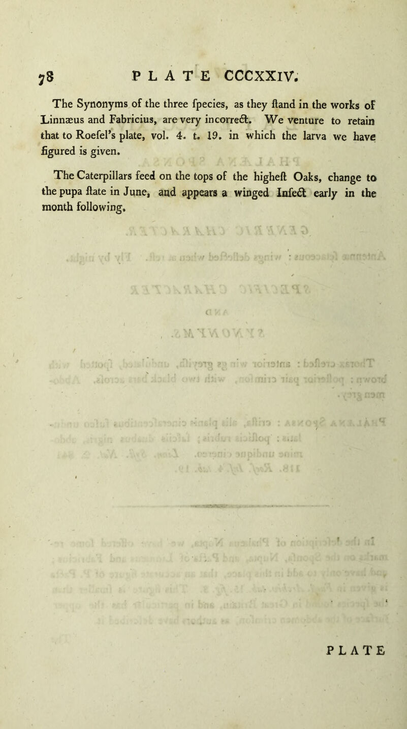 The Synonyms of the three fpecies, as they Hand in the works of Linnaeus and Fabricius, are very in correct. We venture to retain that to Roefel’s plate, vol. 4. t. 19. in which the larva we have figured is given. /i U A fi \ -t i'- J.l i 1 The Caterpillars feed on the tops of the higheft Oaks, change to the pupa ftate in June, and appears a winged Infeft early in the month following. PLATE