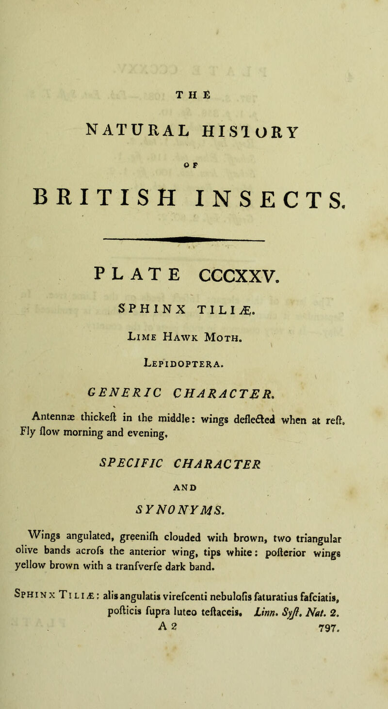 NATURAL HISIORY O F BRITISH INSECTS. PLATE CCCXXV. SPHINX TILIjE. Lime Hawk Moth. Lepidoptera. GENERIC CHARACTER. Antennae thickeft in the middle: wings deflected when at reft. Fly flow morning and evening, SPECIFIC CHARACTER AND SYNONYMS. Wings angulated, greenifh clouded with brown, two triangular olive bands acrofs the anterior wing, tips white: pofterior wings yellow brown with a tranfverfe dark band. Sphin x Ti li &: alisangulatis virefcenti nebulofis faturatius fafciatis, pofticis fupra luteo teftaceis, Linn. Syjl. Nat. 2. A 2 797.