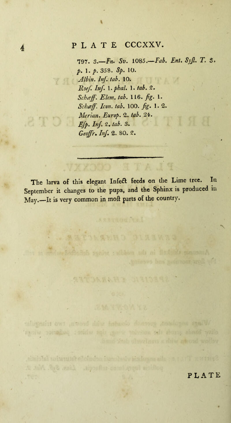 PLATE CCCXXV. 797. 3.—Fn. Sv. 1085.—Fab. Ent. Syjl. T. 5. p. 1. p. 358. Sp. 10. Albin. Inf. tab. 10. Roe/. Inf. 1. pbal. 1. tab. 2. Schaff. Elem. tab. 116. fig. 1. Schaff. Icon. tab. 100. fig. 1. 2. Merian. Europ. 2. tab. 24. EJp• Inf. 2. tab. 3. Geoffr. Inf. 2. 80. 2. The larva of this elegant Infeft feeds on the Lime tree. In September it changes to the pupa, and the Sphinx is produced in May.—It is very common in moft parts of the country. *\