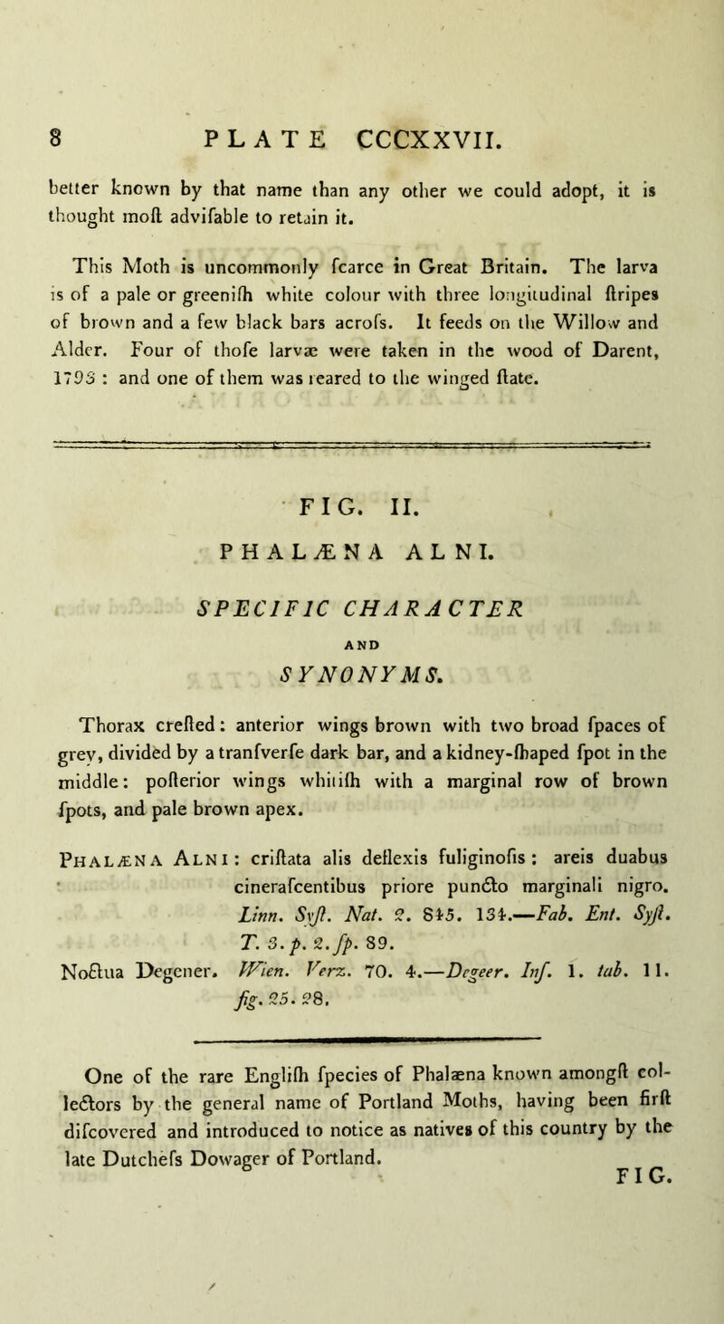 better known by that name than any other we could adopt, it is thought moll advifable to retain it. This Moth is uncommonly fcarce in Great Britain. The larva is of a pale or greenifh white colour with three longitudinal ftripes of brown and a few black bars acrofs. It feeds on the Willow and Alder. Four of thofe larvae were taken in the wood of Darent, 1793 : and one of them was reared to the winged flate. FIG. II. PHAL1NA A L N I. SPECIFIC CHARACTER AND SYNONYMS. Thorax crefled: anterior wings brown with two broad fpaces of grev, divided by a tranfverfe dark bar, and a kidney-fhaped fpot in the middle: polterior wings whiiifh with a marginal row of brown fpots, and pale brown apex. Phalana Alni: criftata alis dellexis fuliginofis : areis duabus cinerafcentibus priore pundlo marginali nigro. Linn. Syji. Nat. 2. 815. 131.—Fab. Ent. Syji. T. 3.p. 2.fp. 89. Noftua Degener. Wien. Verz. 70. 4.—Degeer. Inf. 1. tab. 11. fig. 25.28. One of the rare Engiifh fpecies of Phalaena known amongfl col- leftors by the general name of Portland Moths, having been firft difcovered and introduced to notice as natives of this country by the late Dutchefs Dowager of Portland. FIG.