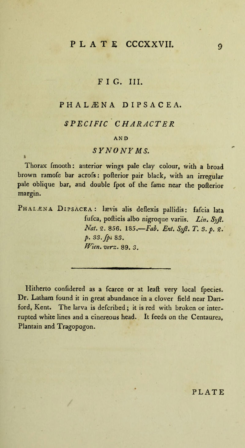 F I G. III. PHALiENA DIPSACEA. SPECIFIC CHARACTER AND SYNONF MS. i Thorax fmooth: anterior wings pale clay colour, with a broad brown ramofe bar acrofs: pofterior pair black, with an irregular pale oblique bar, and double fpot of the fame near the pofterior margin. Phal£na Dipsacea: lsevis alis deflexis pallidis: fafcia lata fufca, pofticis albo nigroque variis. Lin. Syjl. Nat. 2. 856. 185.—Fab. Ent. Syjl. T. 3. p. 2. p. 33.fpi S3. Wien. verz. 89. 3. Hitherto confidered as a fcarce or at leaft very local fpecies. Dr. Latham found it in great abundance in a clover field near Dart- ford, Kent. The larva is defcribed; it is red with broken or inter¬ rupted white lines and a cinereous head. It feeds on the Centaurea, Plantain and Tragopogon. PLATE