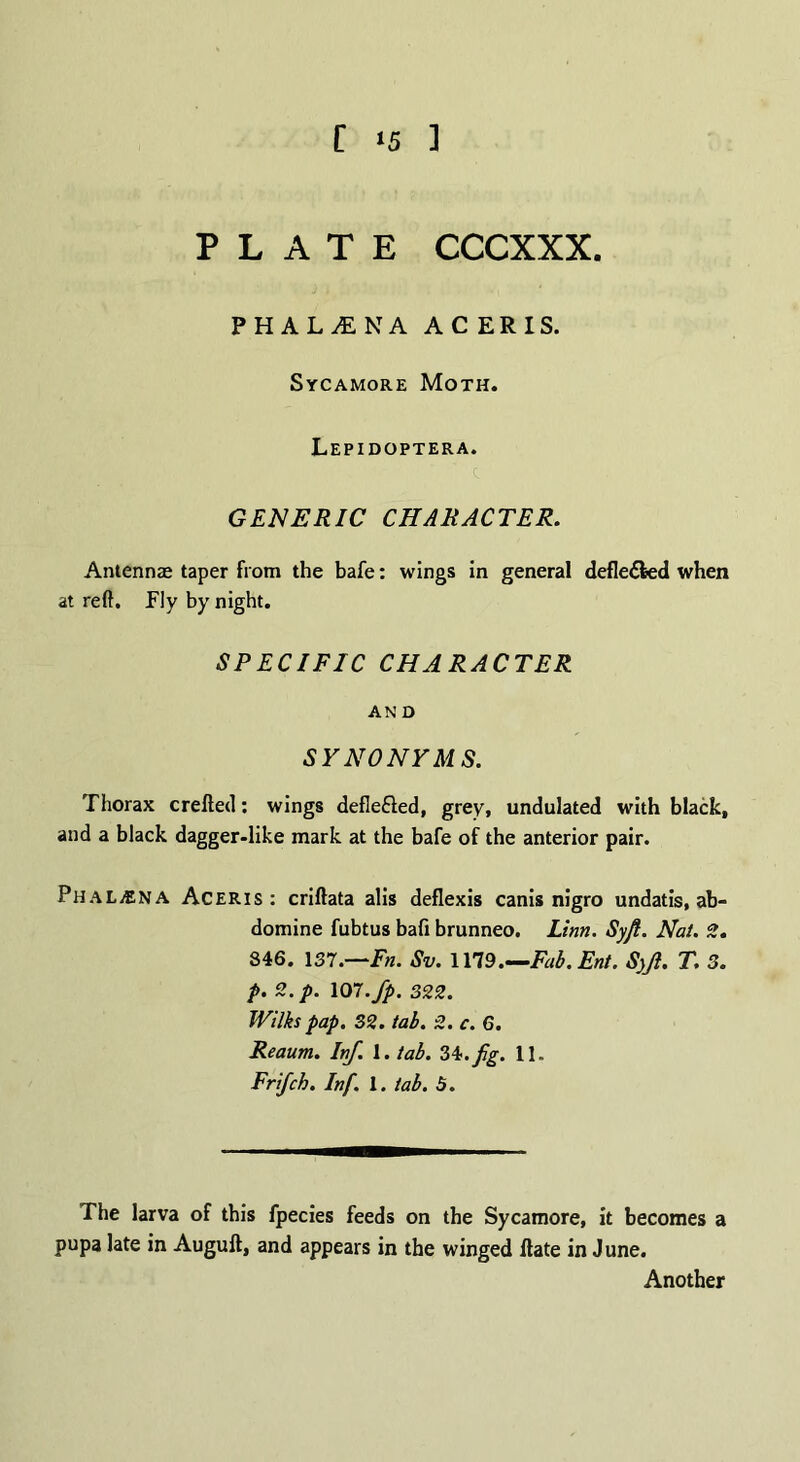 PLATE CCCXXX. P H A L ;E N A ACERIS. Sycamore Moth. Lepidoptera. GENERIC CHARACTER. Antennae taper from the bafe: wings in general deflected when at reft. Fly by night. SPECIFIC CHARACTER AN D SYNONYMS. Thorax crefted: wings deflefled, grey, undulated with black, and a black dagger-like mark at the bafe of the anterior pair. PhaLjENA Aceris: criftata alis deflexis canis nigro undatis, ab- domine fubtus baft brunneo. Linn. Syji. Nat. 2. 846. 137.—Fn. Sv. 1179.—Fab. Ent. SjJi. T. 3. p. 2.p. 107. fp. 322. Wilks pap. 32. tab. 2. c. 6. Reaum. Inf. 1. tab. 34.fig. 11. Frifch. Inf. 1. tab. 5. The larva of this fpecies feeds on the Sycamore, it becomes a pupa late in Augufl, and appears in the winged Rate in June. Another