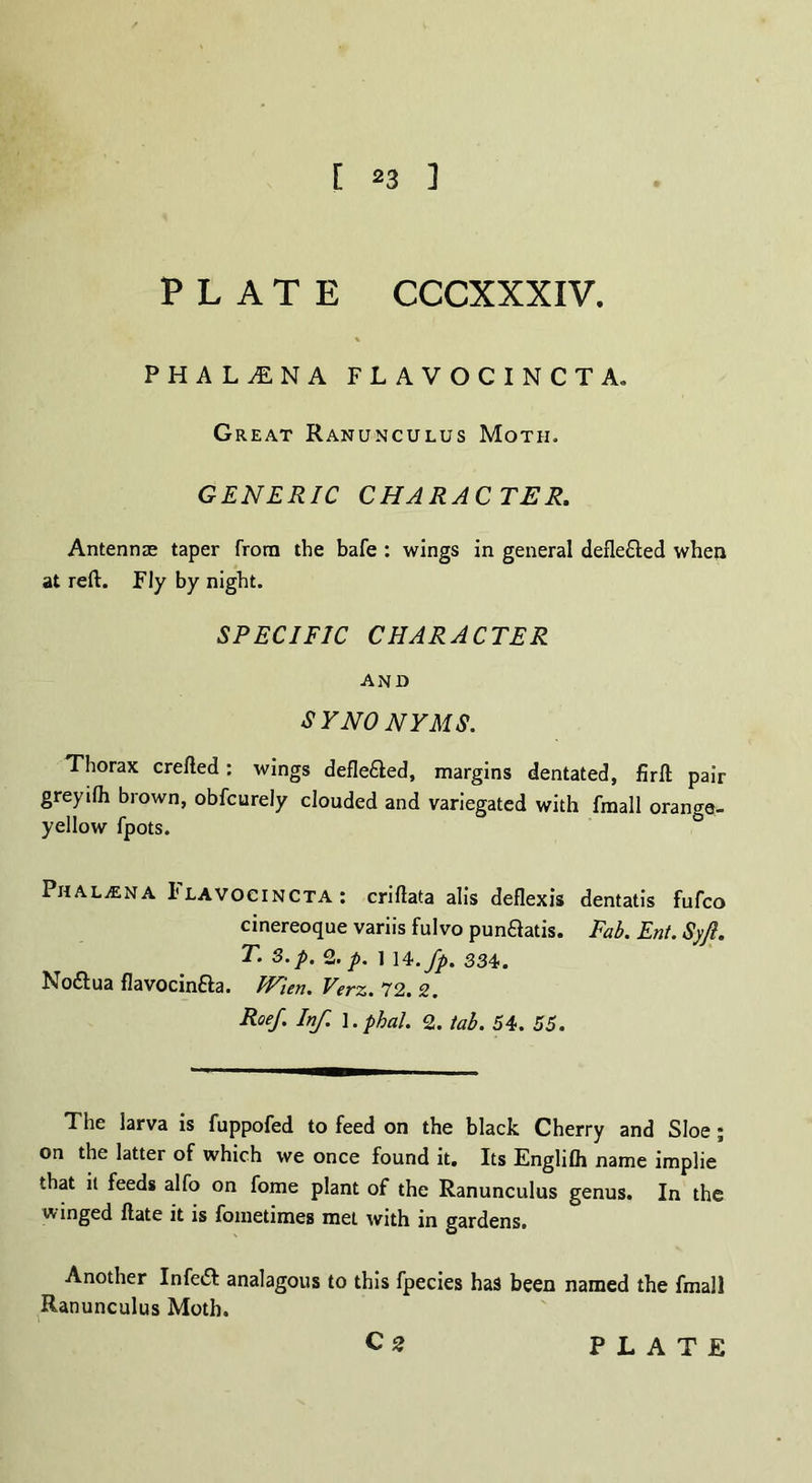 [ 23 ] PLATE CCCXXXIV. PHA LINA FLAVOCINCTA. Great Ranunculus Moth. GENERIC CHARACTER. Antennae taper from the bafe : wings in general defle£ted when at reft. Fly by night. SPECIFIC CHARACTER AND SYNONYMS. Thorax crefted : wings defle&ed, margins dentated, firll pair greyilh brown, obfcurely clouded and variegated with fmall orange- yellow fpots. PhaljEna Flavocincta: crillata alis deflexis dentatis fufco cinereoque variis fulvo punaatis. Fab. Ent. Syft. T. 3. p. 2. p. 1 14. fp. 334. No&ua flavocinaa. Wien. Verz. 72. 2. Roe/. Inf. l.phal. 2. tab. 54. 55. The larva is fuppofed to feed on the black Cherry and Sloe; on the latter of which we once found it. Its Englilh name implie that it feeds alfo on fome plant of the Ranunculus genus. In the winged Hate it is fometimes met with in gardens. Another InfeiR analagous to this fpecies has been named the fmall Ranunculus Moth.