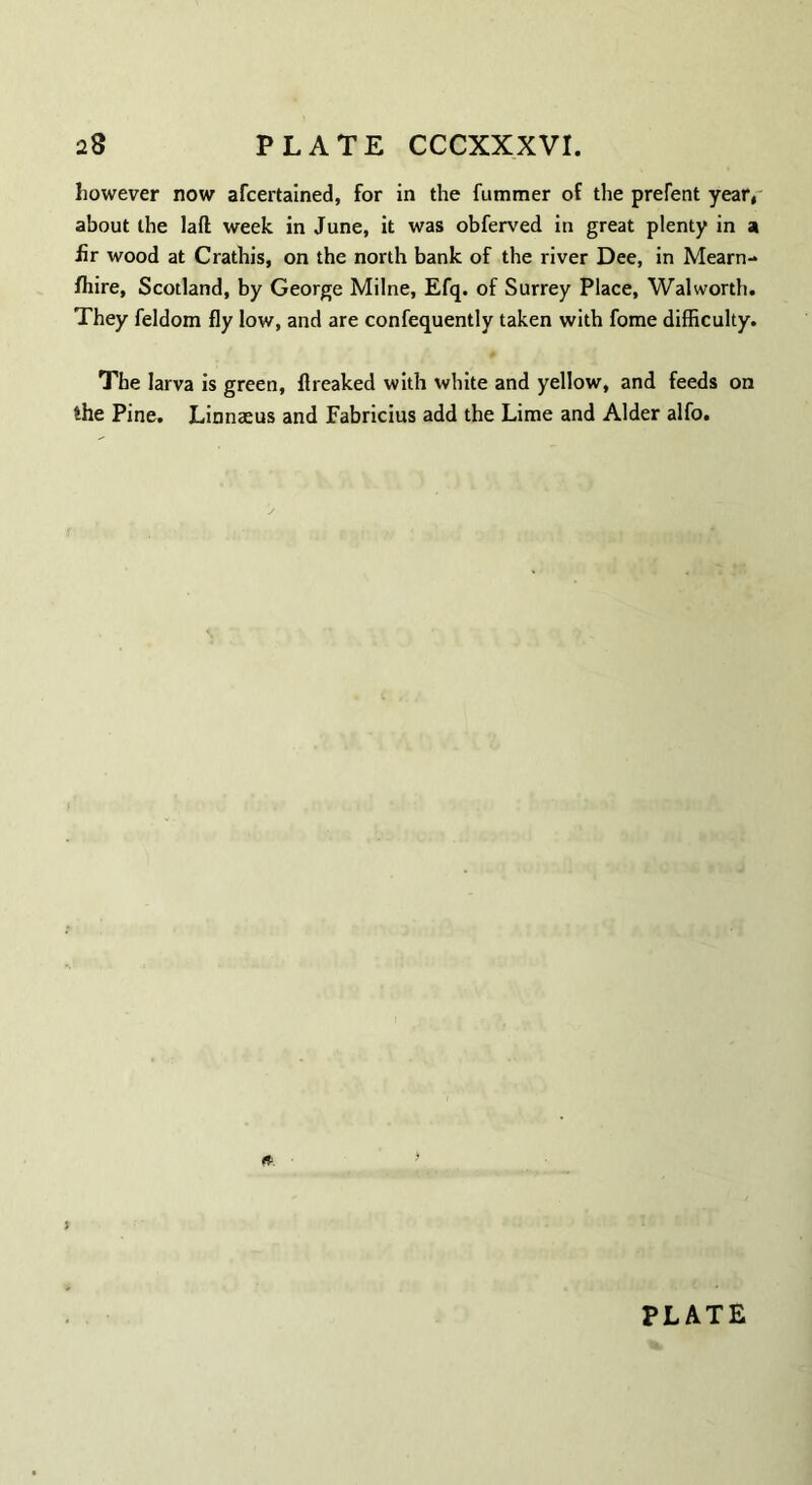 however now afcertained, for in the fummer of the prefent year, about the laft week in June, it was obferved in great plenty in a fir wood at Crathis, on the north bank of the river Dee, in Mearn- fhire, Scotland, by George Milne, Efq. of Surrey Place, Walworth. They feldom fly low, and are confequently taken with fome difficulty. The larva is green, ftreaked with white and yellow, and feeds on the Pine. Linnaeus and Fabricius add the Lime and Alder alfo. ;