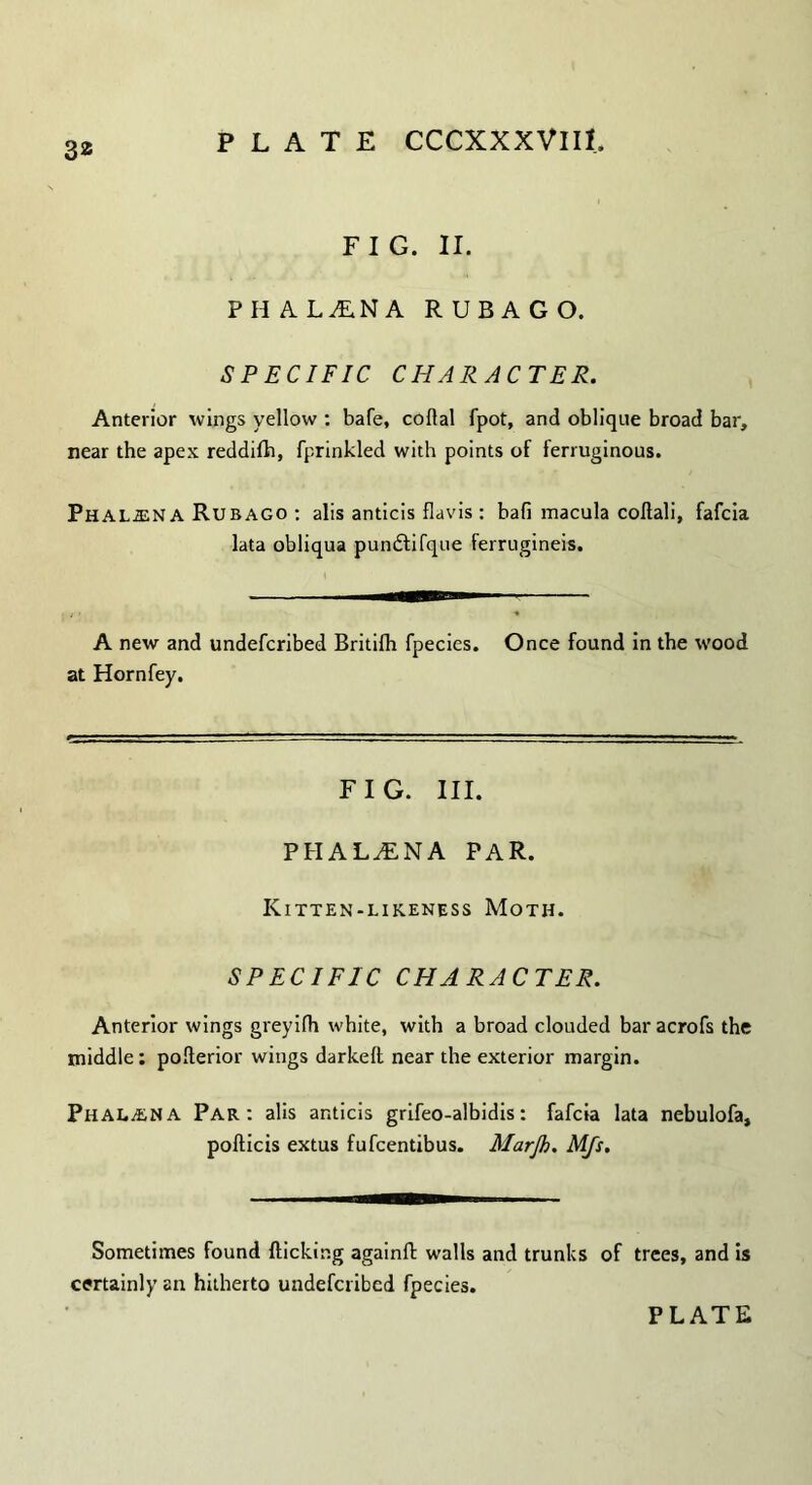 F I G. II. PHALA.NA RUBAGO. SPECIFIC CHARACTER. Anterior wings yellow : bafe, coflal fpot, and oblique broad bar, near the apex reddifh, fprinkled with points of ferruginous. Phaljena Rubago : alis anticis flavis : bafi macula collali, fafcia lata obliqua pundlifque ferrugineis. A new and undefcribed Britilh fpecies. Once found in the wood at Horn fey. FIG. III. PFIALiENA PAR. Kitten-likeness Moth. SPECIFIC CHARACTER. Anterior wings greyifh white, with a broad clouded bar acrofs the middle: polterior wings darkeft near the exterior margin. Phalana Par: alis anticis grifeo-albidis: fafcia lata nebulofa, pofticis extus fufcentibus. Marjh. M/s. Sometimes found flicking againft walls and trunks of trees, and is certainly an hitherto undefcribed fpecies.