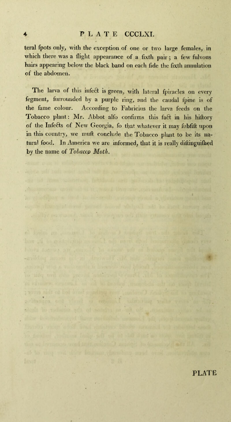 teral fpots only, with the exception of one or two large females, in which there was a flight appearance of a fixth pair ; a few fulvous hairs appearing below the black band on each fide the fixth annulation of the abdomen. The larva of this infect is green, with lateral {piracies on every fegment, furrounded by a purple ring, and the caudal fpine is of the fame colour. According to Fabricius the larva feeds on the Tobacco plant: Mr. Abbot alfo confirms this fa6t in his hiftory of the Infefts of New Georgia, fo that whatever it may fubfift upon in this country, we muft conclude the Tobacco plant to be its na¬ tural food. In America we are informed, that it is really diftinguiflied by the name of Tobaccp Moth. PLATE