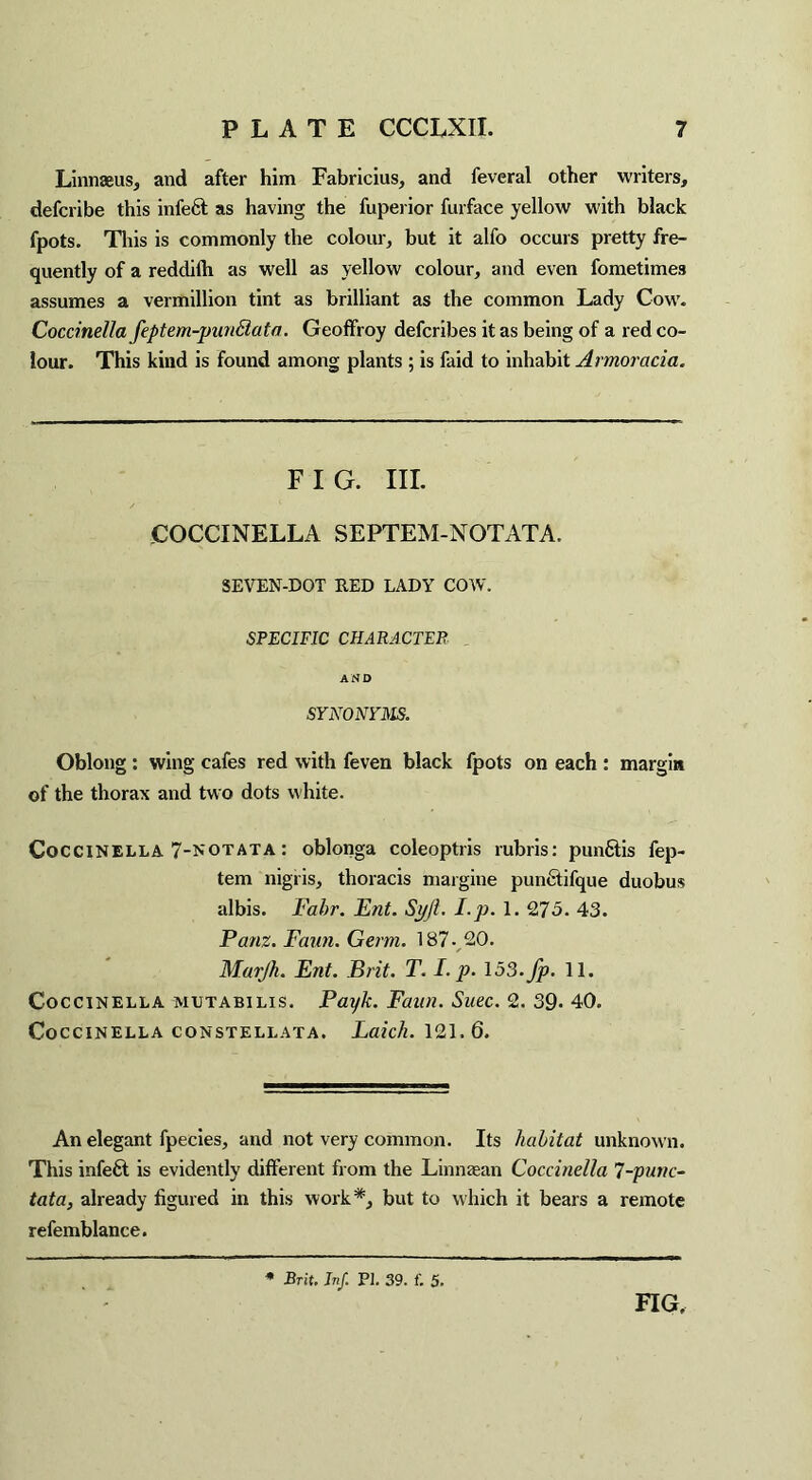 Linnaeus, and after him Fabricius, and feveral other writers, defcribe this infeft as having the fuperior furface yellow with black fpots. This is commonly the colour, but it alfo occurs pretty fre¬ quently of a reddifh as well as yellow colour, and even fometimes assumes a Vermillion tint as brilliant as the common Lady Cow. Coccinella feptem-punSiata. Geoffroy defcribes it as being of a red co¬ lour. This kind is found among plants ; is faid to inhabit Armoracia. FIG. III. COCCINELLA SEPTEM-NOTATA. SEVEN-DOT RED LADY COW. SPECIFIC CHARACTER AND SYNONYMS* Oblong : wing cafes red with feven black fpots on each : margin of the thorax and two dots white. Coccinella 7-notata : oblonga coleoptris rubris: punfiiis fep- tem nigris, thoracis margine pun6tifque duobus albis. Fabr. Ent. Syjl. I.p. 1. 275. 43. Panz. Faun. Germ. 187- 20. Marjh. Ent. Brit. T. I.p. 153.fp. 11. Coccinella mutabilis. Payk. Faun. Suec. 2. 39- 40. Coccinella constellata. Laich. 121.6. An elegant fpecies, and not very common. Its habitat unknown. This infeft is evidently different from the Linnagan Coccinella 7-punc¬ tata, already figured in this work*, but to which it bears a remote refemblance. Brit. Inf. PI. 39. f. 5.