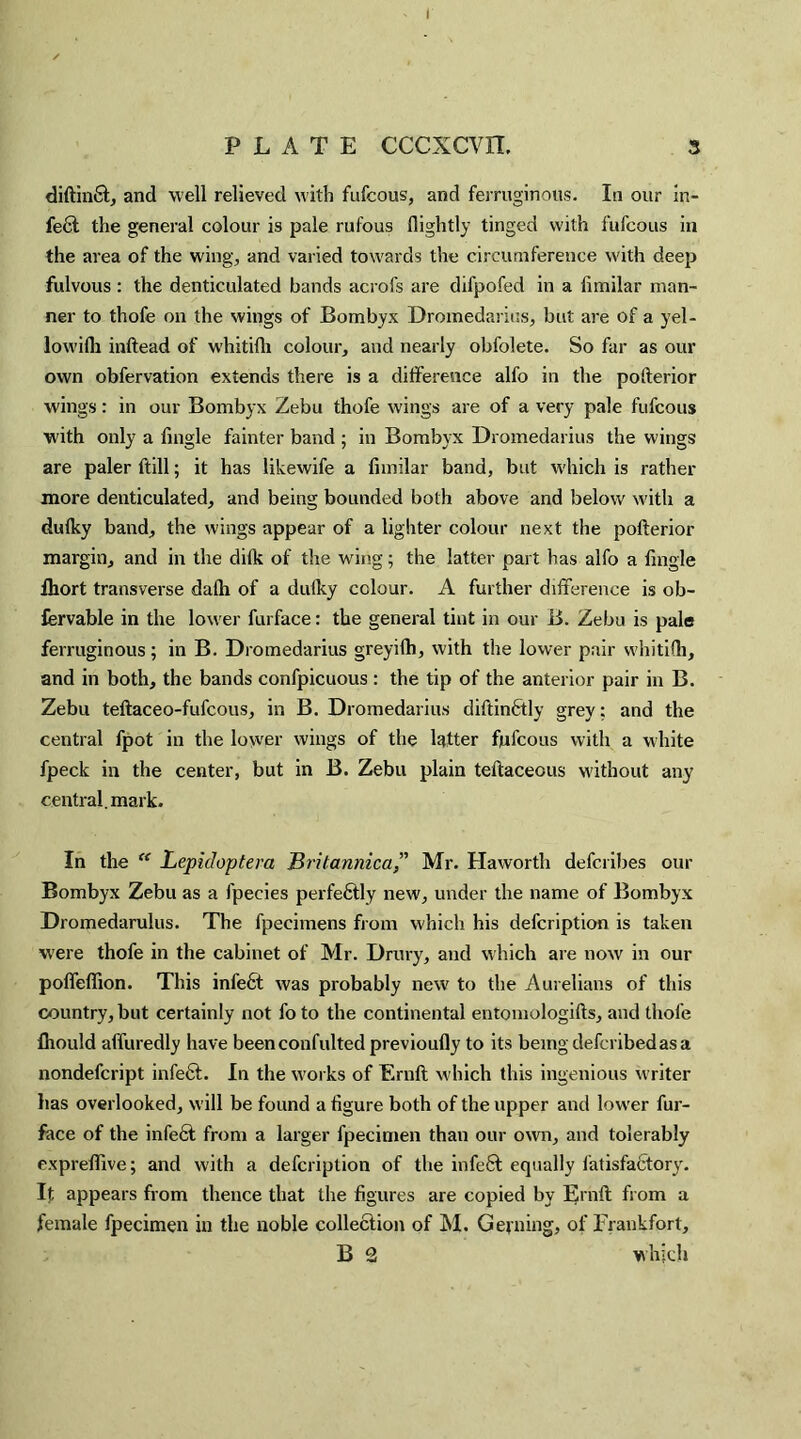 I PLATE CCCXCVXI. 3 diftin6t, and well relieved with fufcous, and ferruginous. In our in- fe6t the general colour is pale rufous (lightly tinged with fufcous in the area of the wing, and varied towards the circumference with deep fulvous: the denticulated bands acrofs are difpofed in a fimilar man¬ ner to thofe on the wings of Bombyx Dromedaries, but are of a yel- lowifh inftead of whitifli colour, and nearly obfolete. So far as our own obfervation extends there is a difference alfo in the pofterior wings: in our Bombyx Zebu thofe wings are of a very pale fufcous ■with only a (ingle fainter band ; in Bombyx Dromedarius the wings are paler ftill; it has likewife a fimilar band, but which is rather more denticulated, and being bounded both above and below with a dulky band, the wings appear of a lighter colour next the pofterior margin, and in the di(k of the wing; the latter part has alfo a (ingle fhort transverse dafti of a dulky colour. A further difference is ob- fervable in the lower furface: the general tint in our B. Zebu is pale ferruginous; in B. Dromedarius greyifh, with the lower pair whitifli, and in both, the bands confpicuous : the tip of the anterior pair in B. Zebu teftaceo-fufcous, in B. Dromedarius diftinftly grey; and the central fpot in the lower wings of the latter fiufcous with a white fpeck in the center, but in B. Zebu plain teftaceous without any central, mark. In the “ Lepuloptera BritannicaMr. Haworth deferibes our Bombyx Zebu as a fpecies perfe£tly new, under the name of Bombyx Dromedarulus. The fpecimens from which his defeription is taken were thofe in the cabinet of Mr. Drury, and which are now in our poffeffion. This infe£t was probably new to the Aurelians of this country, but certainly not fo to the continental entomologifts, and thofe Ihould affuredly have beenconfultedprevioufly to its bemgdeferibedasa nondefeript infect. In the works of Ernft which this ingenious writer has overlooked, will be found a figure both of the upper and lower fur- face of the infect from a larger fpecimen than our own, and tolerably expreflive; and with a defeription of the infe6t equally fatisfactory. It appears from thence that the figures are copied by Ernft from a female fpecimen in the noble collection of M. Gejning, of Frankfort, B 2 which