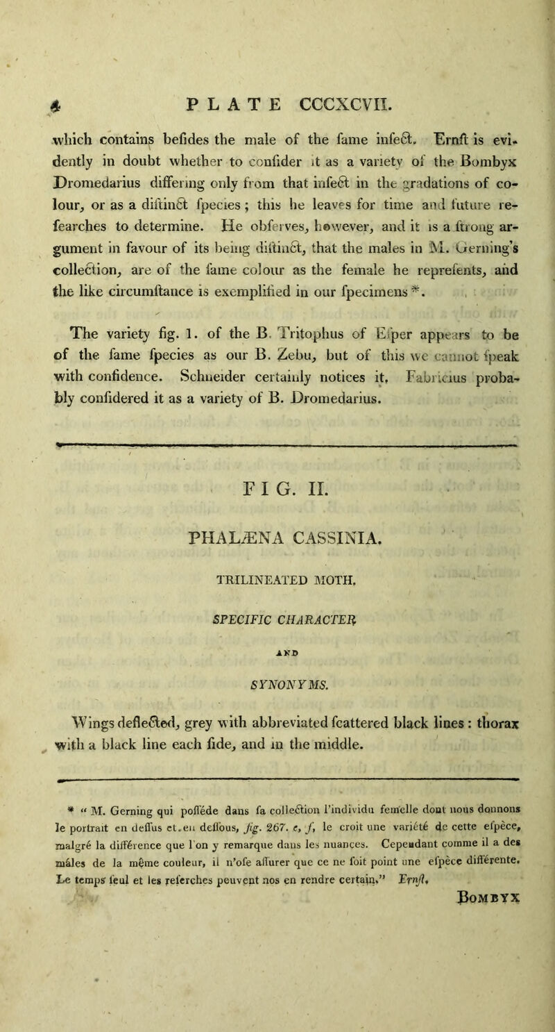 which contains befides the male of the fame infe6t, Ernft is evi. dently in doubt whether to confider it as a variety of the Bombyx Dromedarius differing only from that infe6t in the gradations of co¬ lour, or as a diftinfit fpecies; this he leaves for time and future re- fearches to determine. He obfei ves, however, and it is a ftrong ar¬ gument in favour of its being dittinct, that the males in JM. uerning’s collection, are of the fame colour as the female he reprefents, and the like circumftance is exemplified in our fpecimens*. The variety fig. 1. of the B Tritophus of li per appears to be of the. fame fpecies as our B. Zebu, but of this wc <•:not ipeak with confidence. Schneider certainly notices it, Fabnoius proba¬ bly confidered it as a variety of B. Dromedarius. F I G. II. PHALiENA CASSINIA. TRILINEATED MOTH. SPECIFIC CHARACTER and SYNONYMS. Wings defle6ted, grey with abbreviated fcattered black lines : thorax with a black line each fide, and in the middle. * “ M. Gerning qui pofiede dans fa colleftion l’individu fenielle dont nous donnons le portrait en deffus ct.en dellous. Jig. 267. c, f, le croit une varied dc cette efpece, raalgre la dilFirence que 1 on y remarque dans les nuances. Cepeadant comme il a des miles de la meme couleur, il n’ofe allurer quo ce ne foit point une efpece dift'erente. Le temps leul et les rel'erchcs peuvent nos en rendre certain.” Ernft, Bombyx