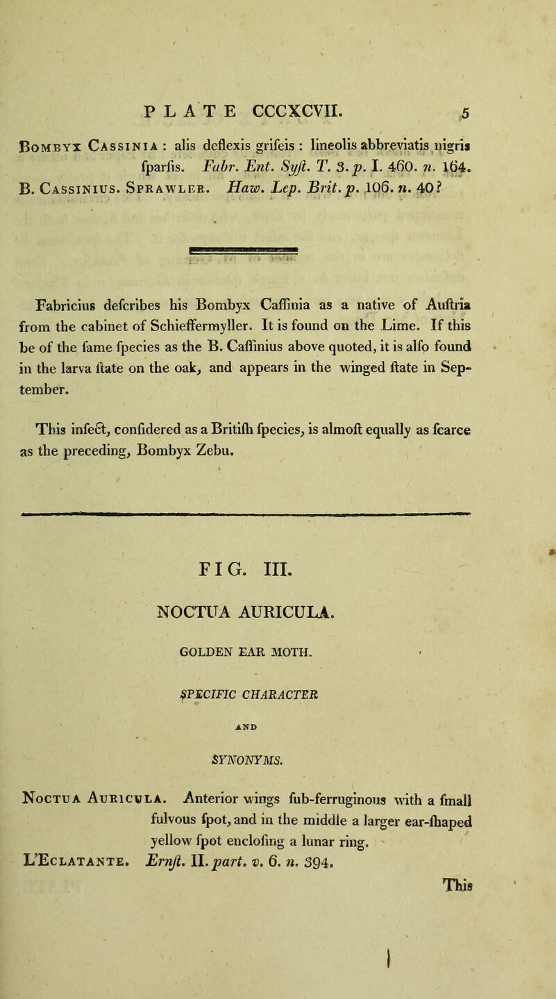 Bombyx Cassinia : alls deflexis grifeis : lineolis abbreviatis nigris fparfis. Fabr. Ent. Syjt. T. 3.p. I. 460. n. 164. B. Cassinius. Sprawler. Haw. Lep. Brit.p. 106. n. 40? Fabricius defcribes his Bombyx Caffinia as a native of Auftria from the cabinet of Schieffermyller. It is found on the Lime. If this be of the fame fpecies as the B. Cafiinius above quoted, it is alfo found in the larva i'tate on the oak, and appears in the winged ftate in Sep¬ tember. This infect, confidered as a Britilh fpecies, is almofi; equally as fcarce as the preceding, Bombyx Zebu. FIG. III. NOCTUA AURICULA. GOLDEN EAR MOTH. SPECIFIC CHARACTER AND SYNONYMS. Noctua Auricula. Anterior wings fub-ferruginous with a fmall fulvous fpot, and in the middle a larger ear-fhaped yellow fpot enclofing a lunar ring. L’Eclatante. Ernjt. II.part. v. 6. n. 394. This