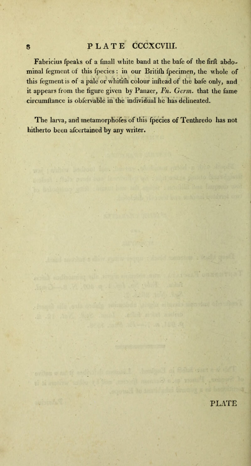 Fabricius fpeaks of a fmall white band at the bafe of the firft abdo¬ minal fegment of this fpecies : in our Britilh fpecimen, the whole of this fegment is of a pale or whitifh colour inftead of the bafe only, and it appears from the figure given by Panzer, Fn. Germ, that the fame circumftance is obfervable in the individual he has delineated. The larva, and metamorphofes of this fpecies of Tenthredo has not hitherto been afcertained by any writer.