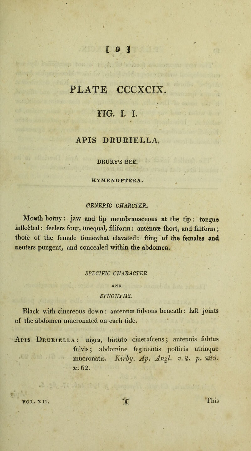 PLATE CCCXCIX, FIG. I. I. APIS DRURIELLA. DRURY’S BEE. HYMENOPTERA, GENERIC CHARCTER. Mouth horny: jaw and lip membranaceous at the tip: tongue inflefted: feelers four, unequal, filiform: antenna? Ihort, and filiform; thofe of the female fomewhat clavated: fling of the females and neuters pungent, and concealed within the abdomen, SPECIFIC CHARACTER AND SYNONYMS. Black with cinereous down : antennae fulvous beneath : lafl joints of the abdomen mucronated on each fide. Apis Druriella: nigra, hirfuto cinerafcens; antennis fubtus fulvis; abdomine fegmentis polticis utrinque mucronatis. Kirby. Ap. Angl. v. 2. p. 285. n. 62. VOL. XII. jC This