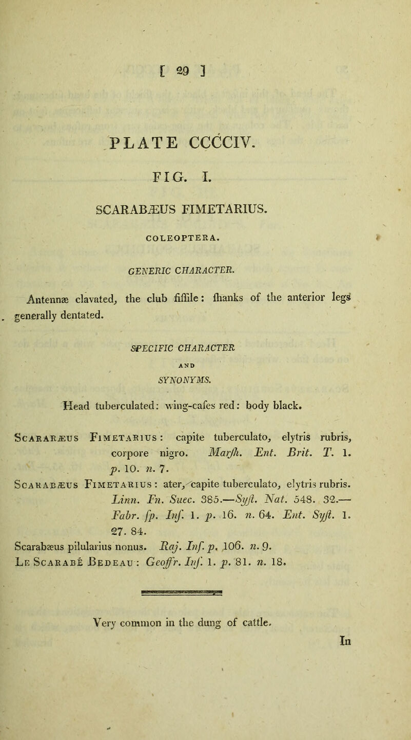 PLATE CCCCIV. FIG. I. SCARABiEUS FIMETARIUS. COLEOPTERA. GENERIC CHARACTER. Antennae clavated, the club fiffile: {hanks of the anterior legsi generally dentated. SPECIFIC CHARACTER AND SYNONYMS. Head tuberculated: wing-cafes red: body black. Scarar.seus FimetaRius : capite tuberculato, elytris rubris, corpore nigro. Marjh. Ent. Brit. T. 1. p. 10. n. 7. Scakae/EUS FimetaRius: ater^capite tuberculato, elytris rubris. Linn. Fn. Suec. 385.—Syjt. Nat. 548. 32.— Fabr. fp. InJ'. 1. p. 16. n. 64. Ent. SyjL 1. 27. 84. Scarabaeus pilularius nonus. Raj. Inf. p. 106. n. 9. Lb Scarabe Bedeau: Geoffr. Inf. 1. p. 81. n. 18. Very common in the dung of cattle. In