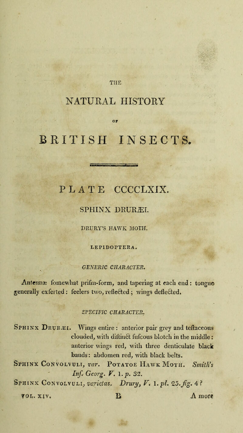 NATURAL HISTORY OF BRITISH INSECTS. PLATE CCCCLXXX. SPHINX DRUR-SX DRURY’S HAWK MOTH. LEPIDOPTERA. GENERIC CHARACTER. Antennae fomewhat prifm-form, and tapering at each end : tongue generally exferted: feelers two, reflected; wings deflected. SPECIFIC CHARACTER. Sphinx DruRjEI. Wings entire : anterior pair grey and teftaceous clouded, with diftinct fufcous blotch in the middle: anterior wings red, with three denticulate black bands: abdomen red, with black belts. Sphinx Convolvuli, rar. Potatoe Hawk Moth. Smith’s Inf. Georg. V. 1. p. 32. Sphinx Convolvuli, varieitas. Drury, V. 1. pi. 25.Jig. 4 ? XJ A more TOL. xtv.