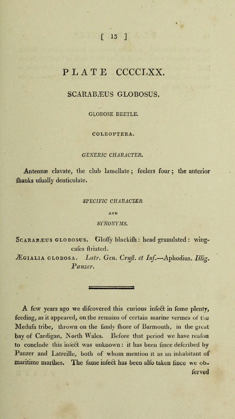 PLATE CCCCLXX. SCARABiEUS GLOBOSUS. GLOBOSE BEETLE. COLEOPTERA. GENERIC CHARACTER. Antennae clavate, the club lamellate; feelers four; the anterior Ihanks ufually denticulate. SPECIFIC CHARACTER ANt> SYNONYMS. ScARABiEUS GLOBOStrs. Gloffy blackifli: head granulated: wing- cafes flriated. -iEgialia clobosa. Latr. Gen. Cruft, et Inf.—Aphodius. Illig. Panzer. A few years ago we difcovered this curious infe£t in fome plenty, feeding, as it appeared, on the remains of certain marine vermes of the Medufa tribe, thrown on the fandy fhore of Barmouth, in the great bay of Cardigan, North Wales. Before that period we have reafon to conclude this inleft was unknown: it has been iince defcnbed by Panzer and Latreille, both of whom mention it as an inhabitant of maritime marlhes. The fame infect has been alfo taken lince we ob- ferved