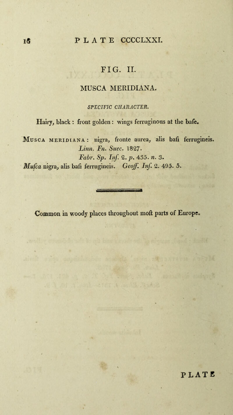 FIG. II. MUSCA MERIDIANA. SPECIFIC CHARACTER. Hairy, black : front golden : wings ferruginous at the bale. Musca meridiana: nigra, fronte aurea, alis bafi ferrugineis. Linn. Fn. Slice. 1827- Fabr. Sp. Inf. 2. p. 455. n. 3. Mufca nigra, alis bafi ferrugineis. Geoff. Inf. 2. 495. 5. Common in woody places throughout moll parts of Europe.