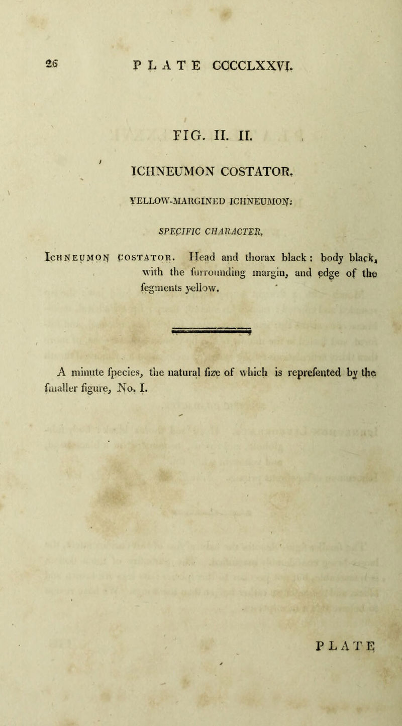 FIG. II. II. ICHNEUMON COSTATOR. YELLOW-MARGINED ICHNEUMON; SPECIFIC CHARACTER, Ichneumon POSTAtor. Head and thorax black: body black, with the furrounding margin, and edge of the fegments yellow. A minute fpecies, the natural fize of which is reprefented by the fuialler figure. No. I. P L A T E