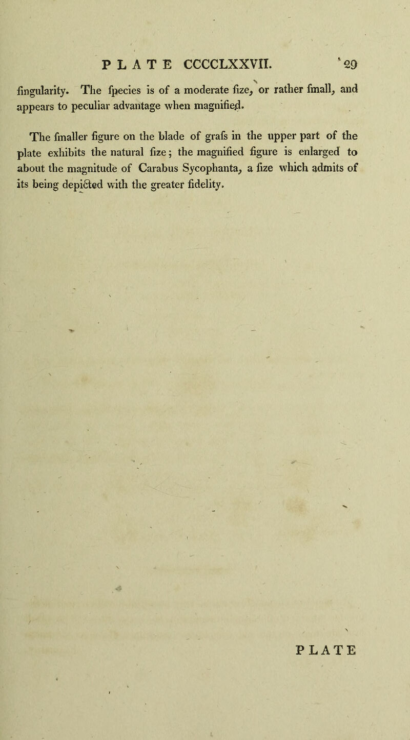 lingularity. The fpecies is of a moderate fize, or rather fmall, and appears to peculiar advantage when magnified* The finaller figure on the blade of grafs in the upper part of the plate exhibits the natural fize; the magnified figure is enlarged to about the magnitude of Carabus Sycophanta, a fize which admits of its being depicted with the greater fidelity. PLATE