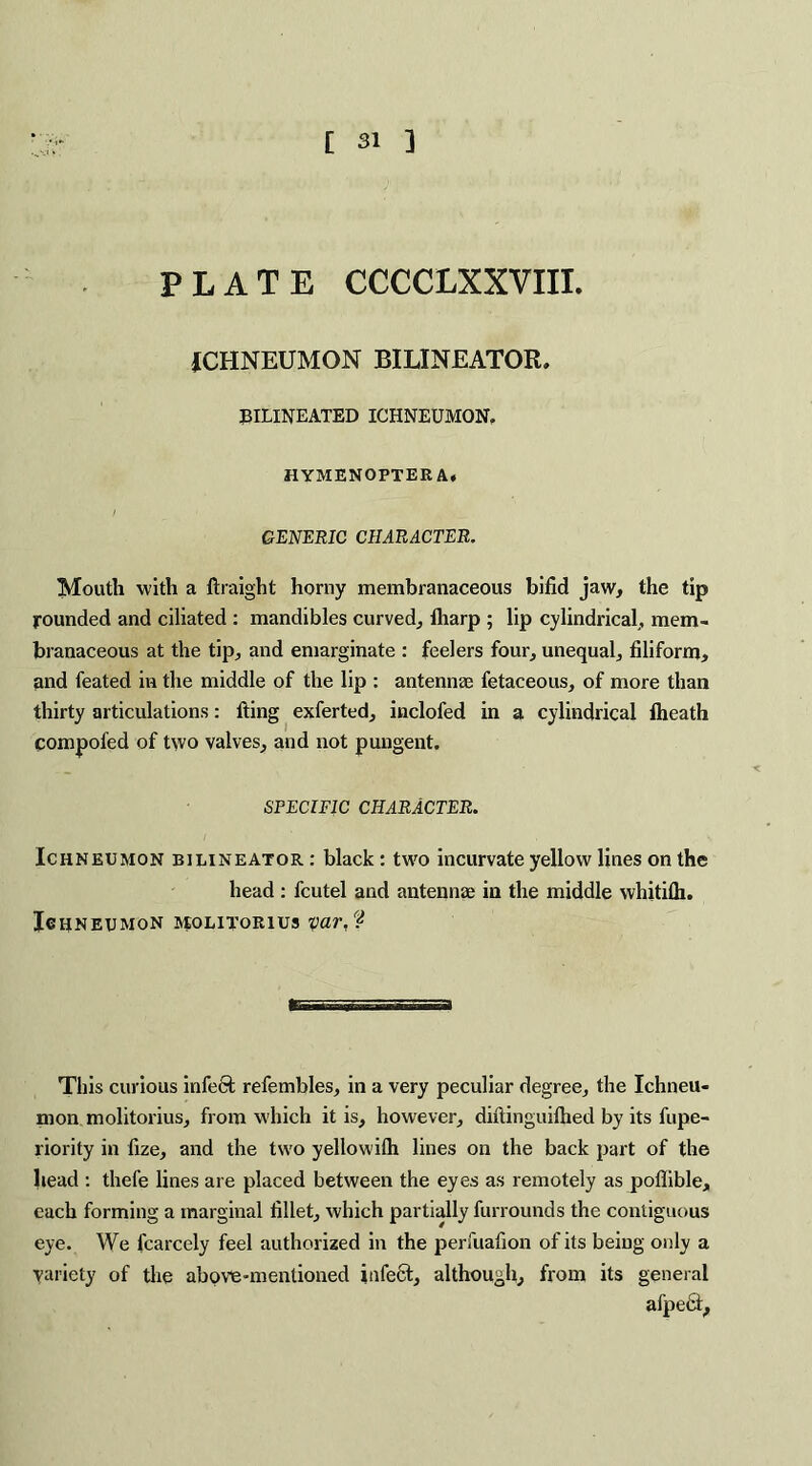 PLATE CCCCLXXVIII. ICHNEUMON BILINE ATOR. 3ILINEATED ICHNEUMON, HYMENOPTER A* GENERIC CHARACTER. Mouth with a ftraight horny membranaceous bifid jaw, the tip rounded and ciliated : mandibles curved, fharp ; lip cylindrical, mem¬ branaceous at the tip, and emarginate : feelers four, unequal, filiform, and feated in the middle of the lip : antennae fetaceous, of more than thirty articulations: fting exferted, inclofed in a cylindrical fheath compofed of two valves, and not pungent. SPECIFIC CHARACTER. Ichneumon bilineator : black: two incurvate yellow lines on the head : fcutel and antennae in the middle whitifli. Ichneumon molitorius var,V This curious infect refembles, in a very peculiar degree, the Ichneu¬ mon molitorius, from which it is, however, diftinguilhed by its fupe- riority in fize, and the two yellowilh lines on the back part of the head : thefe lines are placed between the eyes as remotely as poflible, each forming a marginal fillet, which partially furrounds the contiguous eye. We fcarcely feel authorized in the perfuafion of its being only a Variety of the above-mentioned infect, although, from its general afpect.