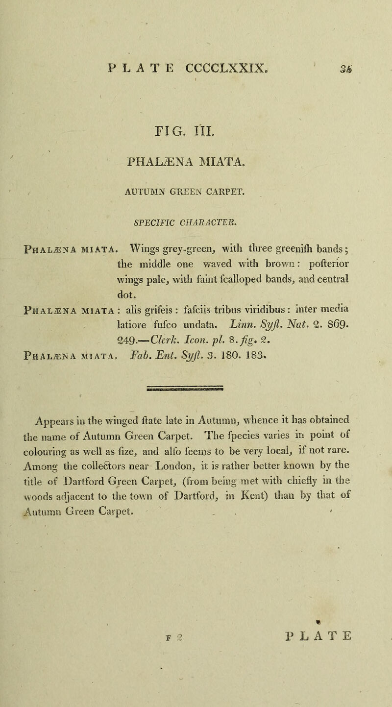 FIG. III. PHALiENA MIATA. AUTUMN GREEN CARPET. SPECIFIC CHARACTER. Phaljena MIATA. Wings grey-green, with three greenifh bands; the middle one waved with brown: pofterior wings pale, with faint fcalloped bands, and central dot. PHALiENA miata: alis grifeis : fafciis tribus viridibus: intermedia latiore fufco undata. Linn. Syjl. Nat. 2. S69- 249— Clerk. Icon. pi. 8.fig. 2. Phala:na miata. Fab. Ent. Syji. 3. 180. 183. Appears in the winged hate late in Autumn, whence it has obtained the name of Autumn Green Carpet. The fpecies varies in point of colouring as well as fize, and alfo feems to be very local, if not rare. Among the collectors near London, it is rather better known by the title of Dartford Green Carpet, (from being met with chiefly in the woods adjacent to the town of Dartford, in Kent) than by that of Autumn Green Carpet. *