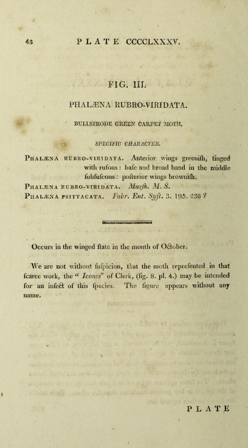 FIG. III. PHALtENA RUBRO-VTRIDATA. BULLSTRODE GREEN CARPET MOTH. SPECIFIC CHARACTER. Phalsna rubro-viridata. Anterior wings greenifh, tinged with rufous : bafe and broad band in the middle fubfufcous : pofterior wings brownilh. PlIALffiNA RUBRO-VIRIUATA. Matjh. ill. .S'. Ph ALTER A JPS1TTACATA. Fabr. Ent. Si/ft. 3. 19'>. 33S ?■ Occurs in the winged ftate in the month of OSober. We are not without fufpicion, that the moth reprefented in that fcarce work, the “ leones” of Clerk, (fig. 8. pi. 4.) may be intended for an infeft of this fpecies. The figure appears without any name. i