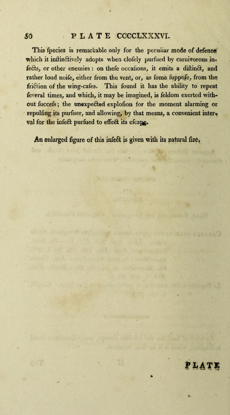 This fpecies is remarkable only for the peculiar mode of defence which it inftinStively adopts when clofely purfued by carnivorous in¬ fers, or other enemies : on thefe occafions, it emits a diftinCt, and rather loud noife, either from the vent, or, as fome fuppofe, from the frifition of the wing-cafes. This found it has the ability to repeat feveral times, and which, it may be imagined, is feldom exerted with¬ out fuccefs; the unexpected explofion for the moment alarming or repulfing its purfuer, and allowing, by that means, a convenient inters val for the infeCt purfued to effect its efcapg. An enlarged figure of this infe6t is given with its natural fize* \