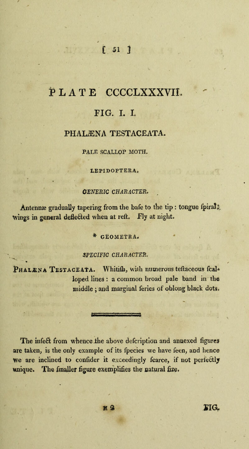 PLATE CCCCLXXXVIL FIG. I. I. PHALjENA TESTACEATA. PALE SCALLOP MOTH. LEPIDOPTERA. GENERIC CHARACTER. Antennae gradually tapering from the bafe to the tip: tongue fpiral; wings in general defle6ted when at reft. Ely at night. * GfiOMETRA. SPECIFIC CHARACTER. pHALjENA TESTACEAtA. Whitilh, with numerous teftaceous fcah loped lines : a common broad pale band in the middle ; and marginal feries of oblong black dots. The infeft from whence the above defcription and annexed figures are taken, is the only example of its fpecies we have feen, and hence We are inclined to confider it exceedingly fcarce, if not perfectly wnique. The fmaller figure exemplifies the natural fize.