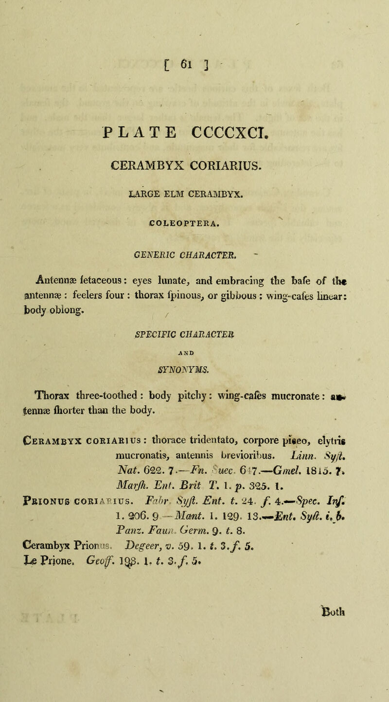 PLATE CCCCXCI. CERAMBYX CORIARIUS. LARGE ELM CERAMBYX. COLEOPTERA. GENERIC CHARACTER. Antennae letaceous: eyes lunate, and embracing the bafe of the antennae : feelers four : thorax fpinous, or gibbous ; wing-cafes linear: body oblong. SPECIFIC CHARACTER AND SYNONYMS. Thorax three-toothed : body pitchy : wing-cafes mucronate: a*» Jennae Ihorter than the body. Cerambyx coriarius : thorace tridentato, corpore pweo, elytris mucronatis, antennis breviorihus. Linn. Syfi. Nat. 622. 7.—Fn. uec. 6?7.—Gmel. 18i5. 7* Marjh. Ent. Brit T. 1. p. 325. 1. Prionus coriarius. Fabr Syfi. Ent. t.24>.f.4:.—Spec. Ivf. 1. 206. 9 — Mant. 1. 129- 13—Ent. Syfi. i, K Panz. Faun. Germ. Q. t. 8. Cerambyx Prionus. Degeer, v. 59. 1. t. 3 .f. 5. Le Prione. Geoff. 1<^3. 1. t. 3-f. 5. Both