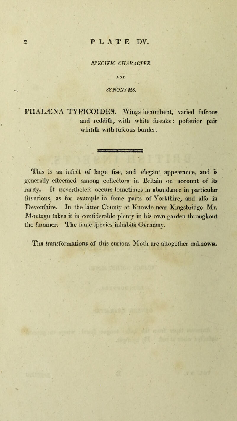 SPECIFIC CHARACTER AND SYNONYMS. PHALiENA TYPICOIDES. Wings incumbent, varied fufcous and reddifh, with white ftreaks : polterior pair whitiih with fufcous border. This is an infect of large fiz-e, and elegant appearance, and is generally efteemed among collectors in Britain on account of its rarity. It neverthelefs occurs fotnetimes in abundance in particular filiations, as for example in fome parts of Yorkfhire, and alfo in Devonlhire. In the latter County at Knowle near Kingsbridge Mr. Montagu takes it in confiderable plenty in his own garden throughout the fummer. The fame fpecies inliabits Germany. The transformations of this curious Moth are altogether unknown.