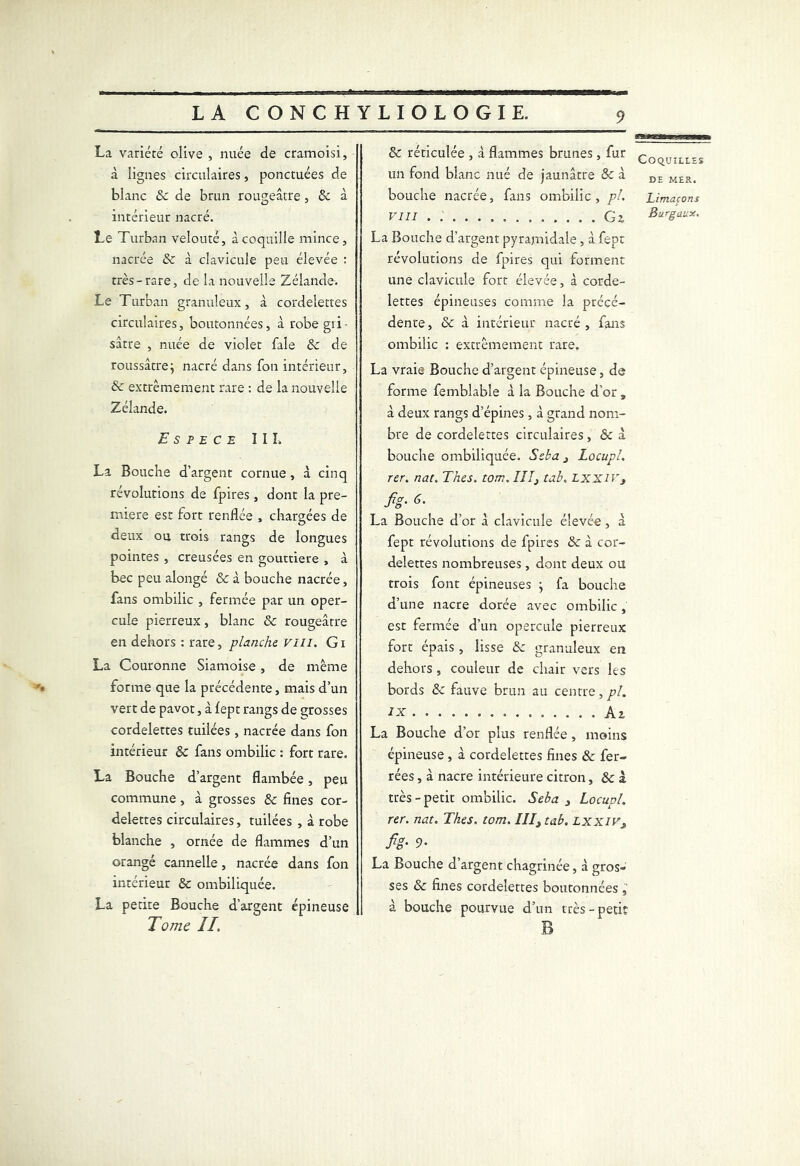La variété olive , nuée de cramoisi, à lignes circulaires, ponctuées de blanc 6c de brun rougeâtre, 6c à intérieur nacré. Le Turban velouté, à coquille mince, nacrée 6c à clavicule peu élevée : très-rare, de la nouvelle Zélande. Le Turban granuleux, à cordelettes circulaires, boutonnées, à robe gri- sâtre , nuée de violet fale 6c de roussâtre; nacré dans Ton intérieur, 6c extrêmement rare : de la nouvelle Zélande. Espece III. La Bouche d’argent cornue , à cinq révolutions de fpires, dont la pre- mière est fort renflée , chargées de deux ou trois rangs de longues pointes , creusées en gouttière , à bec peu alongé 6c à bouche nacrée, fans ombilic , fermée par un oper- cule pierreux, blanc & rougeâtre en dehors : rare, planche VIil. Gi La Couronne Siamoise, de même forme que la précédente, mais d’un vert de pavot, à fept rangs de grosses cordelettes tuilées, nacrée dans fon intérieur 6c fans ombilic : fort rare. La Bouche d’argent flambée, peu commune, à grosses 6c fines cor- delettes circulaires, tuilées , à robe blanche , ornée de flammes d’un orangé cannelle, nacrée dans fon intérieur 6c ombiliquée. La petite Bouche d’argent épineuse Tome ïl. 6c réticulée , à flammes brunes, fur coquilles un fond blanc nué de jaunâtre & à DE KER- bouche nacrée, fans ombilic, pi. Limaçons VIII . G Z Burgaux. La Bouche d’argent pyramidale, à fept révolutions de fpires qui forment une clavicule fort élevée, à corde- lettes épineuses comme la précé- dente, 6c à intérieur nacré , fans ombilic : extrêmement rare. La vraie Bouche d’argent épineuse, de forme femblable à la Bouche d’or , à deux rangs d’épines, à grand nom- bre de cordelettes circulaires, & à bouche ombiliquée. Ssba 3 Locupl. rer. nat. Thés. tom. III3 tah. lxxiv 3 fis-6' La Bouche d’or â clavicule élevée , à fept révolutions de fpires 6c à cor- delettes nombreuses, dont deux ou trois font épineuses \ fa bouche d’une nacre dorée avec ombilic, est fermée d’un opercule pierreux fort épais , lisse 6c granuleux en dehors , couleur de chair vers les bords 6c fauve brun au centre, pl. ix Ai La Bouche d’or plus renflée, moins épineuse, à cordelettes fines & fer- rées , à nacre intérieure citron, 6c à très - petit ombilic. Seba 3 Locupl. rer. nat. Thés. tom. III3 tab. Lxxiv3 fi g• 9- La Bouche d’argent chagrinée, â gros- ses 6c fines cordelettes boutonnées , à bouche pourvue d’un très-petit B